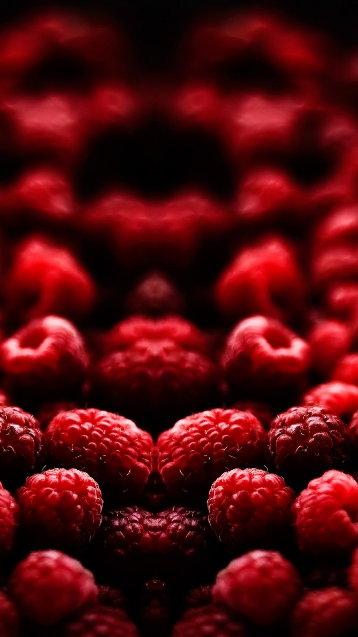 Red Heart Shaped Petals on White Background. Wallpaper in 720x1280 Resolution