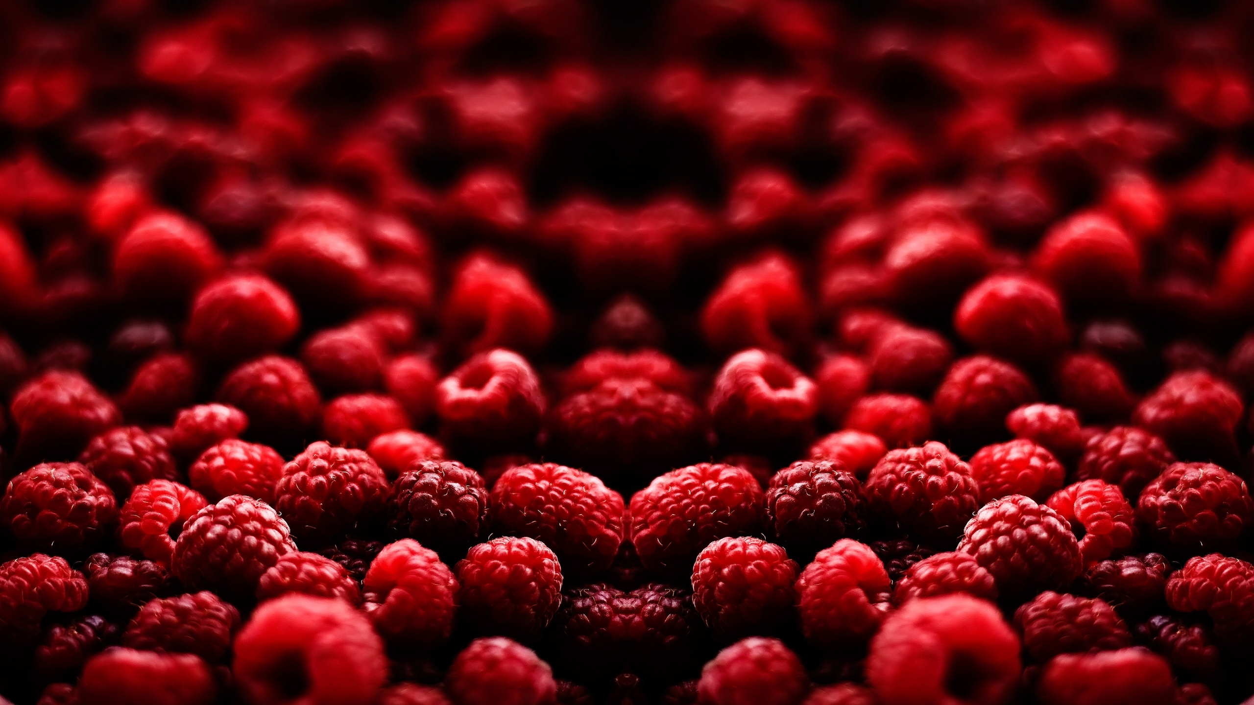 Rote Herzförmige Blütenblätter Auf Weißem Hintergrund. Wallpaper in 2560x1440 Resolution