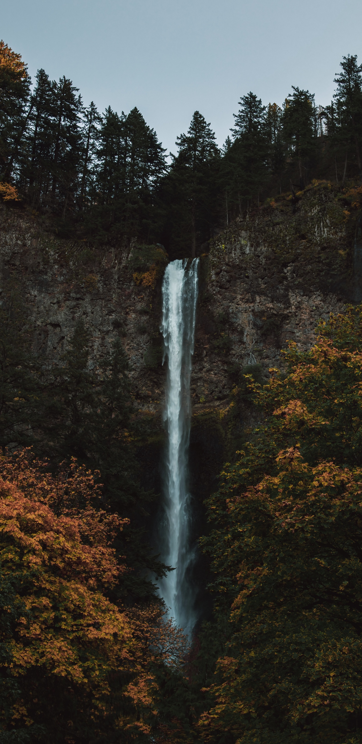 Natur, Naturlandschaft, Biome, Wasserfall, Wasser. Wallpaper in 1440x2960 Resolution