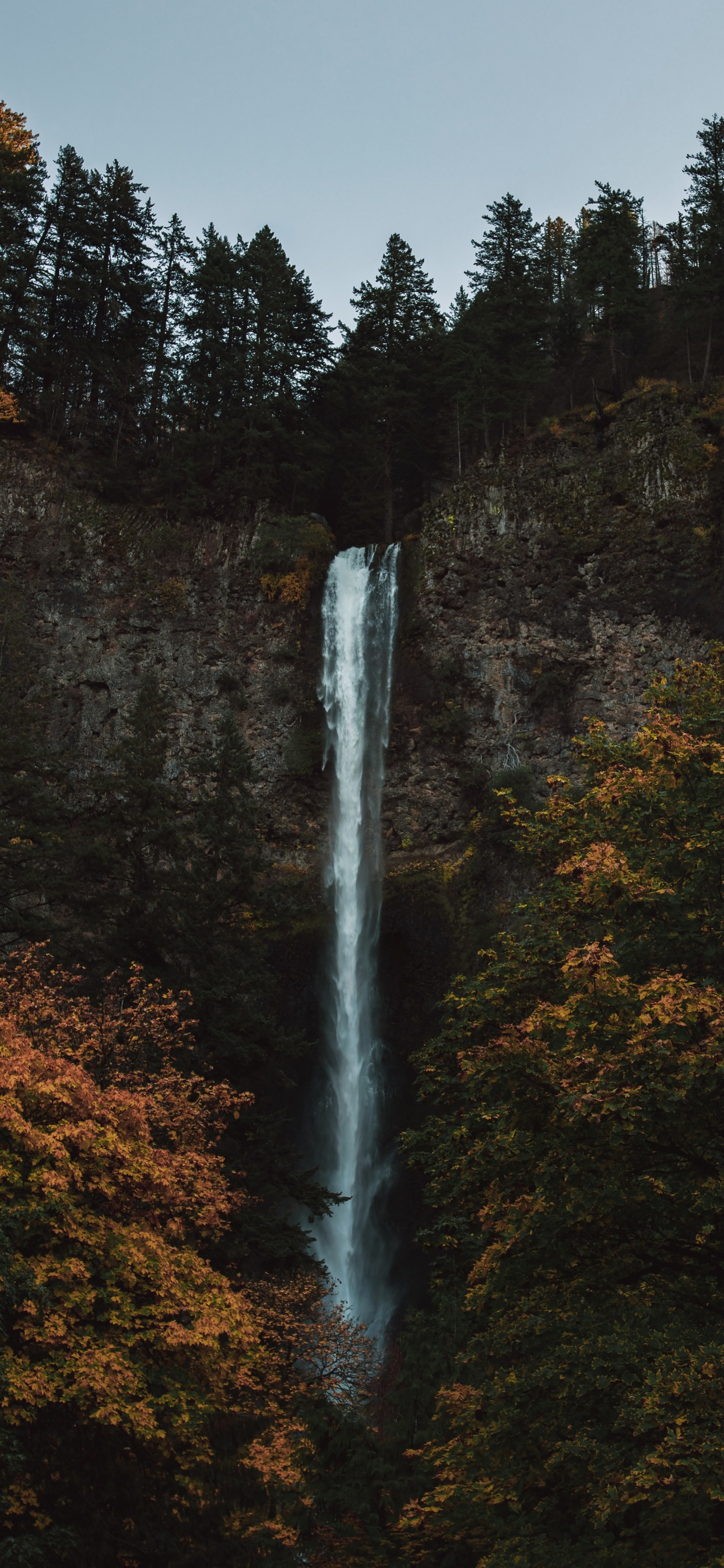 Naturaleza, Paisaje Natural, Bioma, Cascada, Agua. Wallpaper in 1242x2688 Resolution