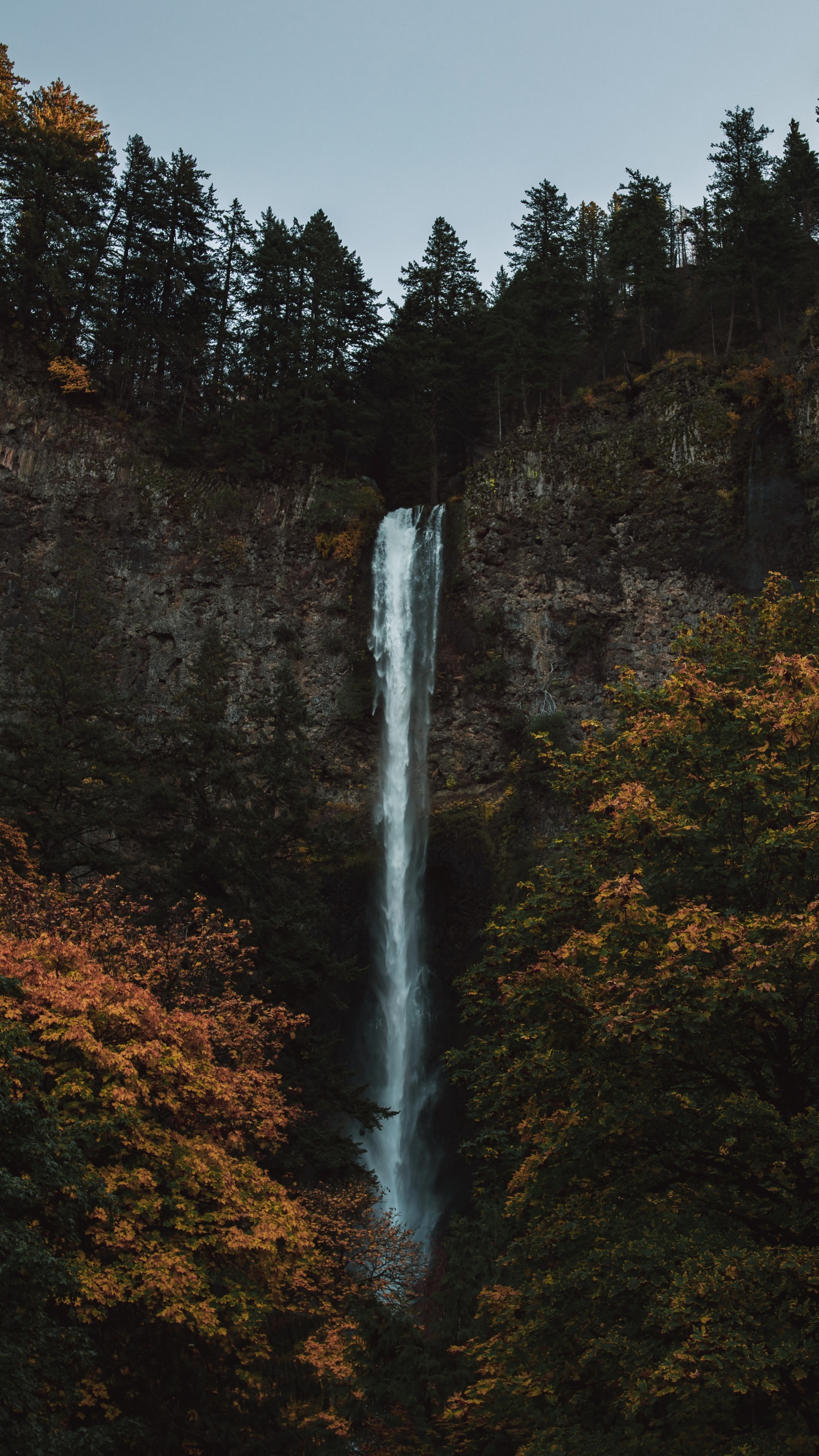 Naturaleza, Paisaje Natural, Bioma, Cascada, Agua. Wallpaper in 1440x2560 Resolution