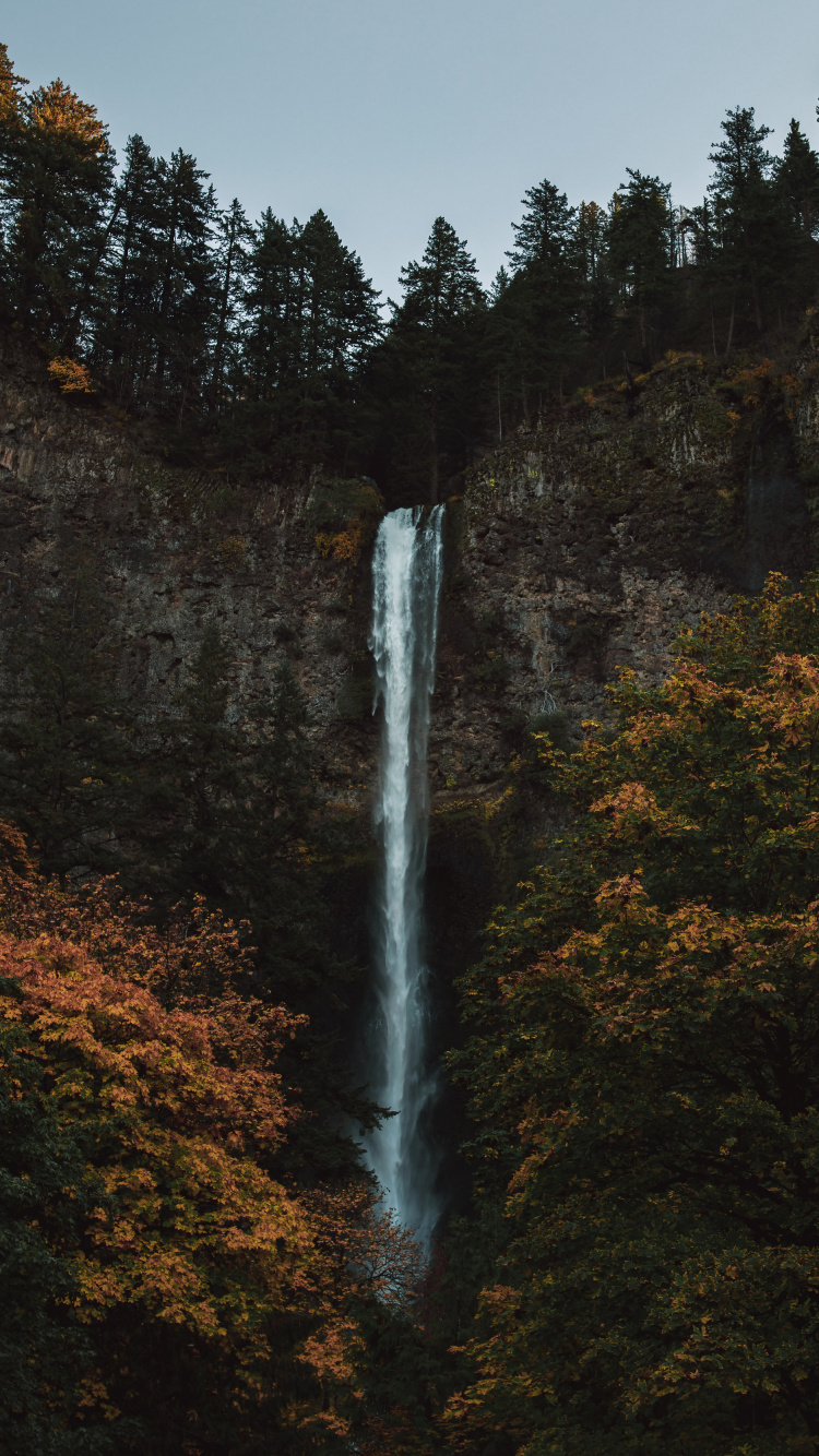 Nature, Natural Landscape, Biome, Waterfall, Water. Wallpaper in 750x1334 Resolution