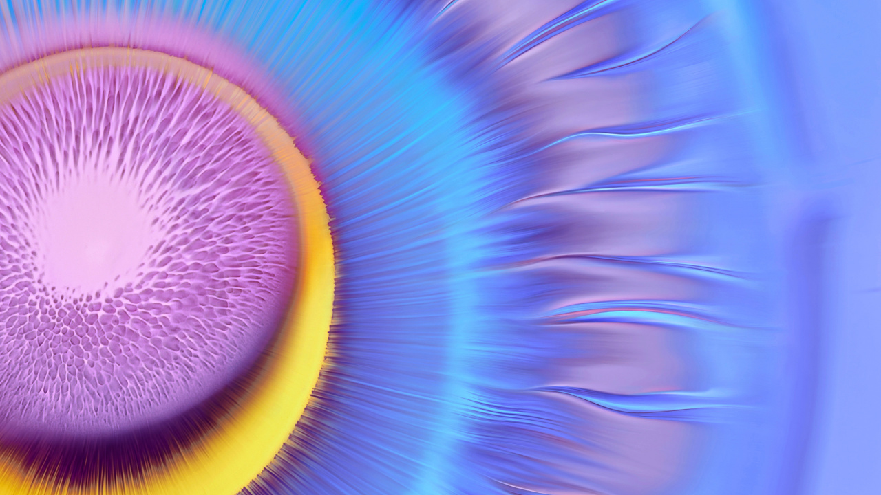 Huawei, Huawei Mate, Huawei Mate 40 Pro, Huawei Mate 30, Huawei Compagnon 40. Wallpaper in 1280x720 Resolution