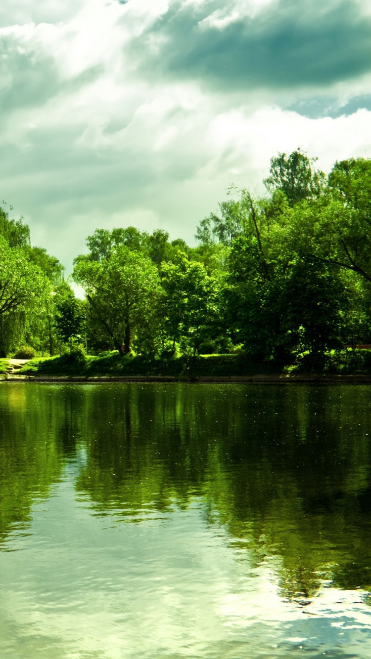 Green Trees Beside River Under Cloudy Sky During Daytime. Wallpaper in 750x1334 Resolution