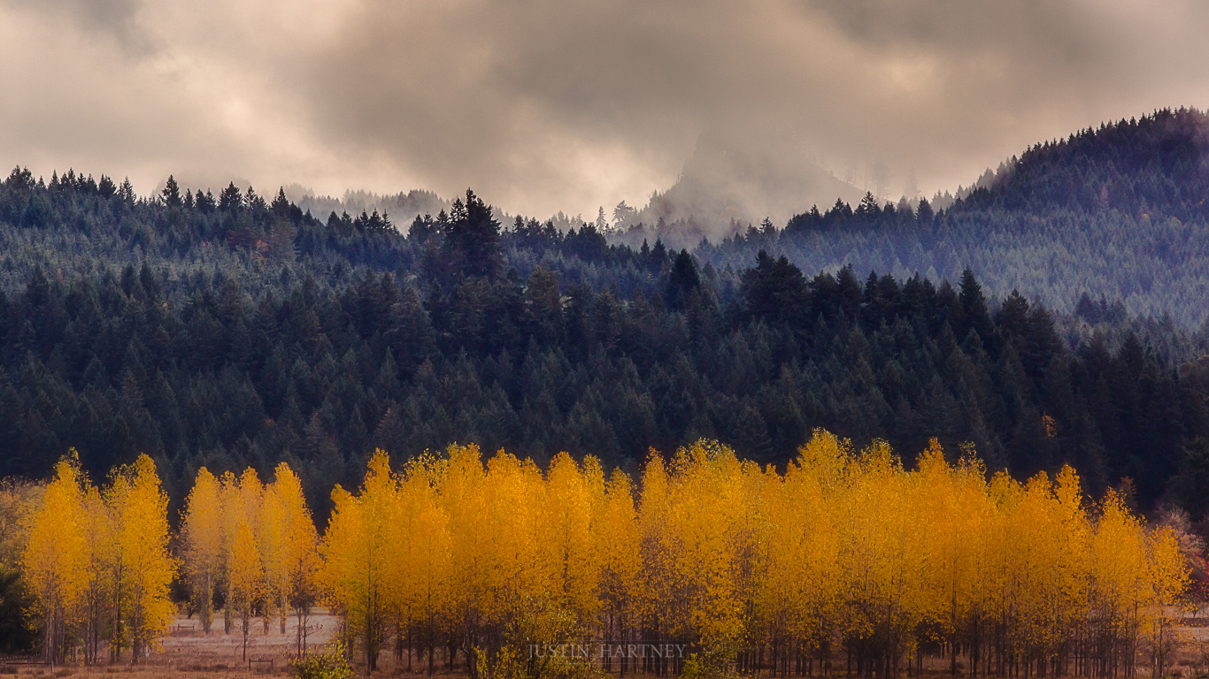 Arbres Verts Sous un Ciel Nuageux Pendant la Journée. Wallpaper in 1366x768 Resolution