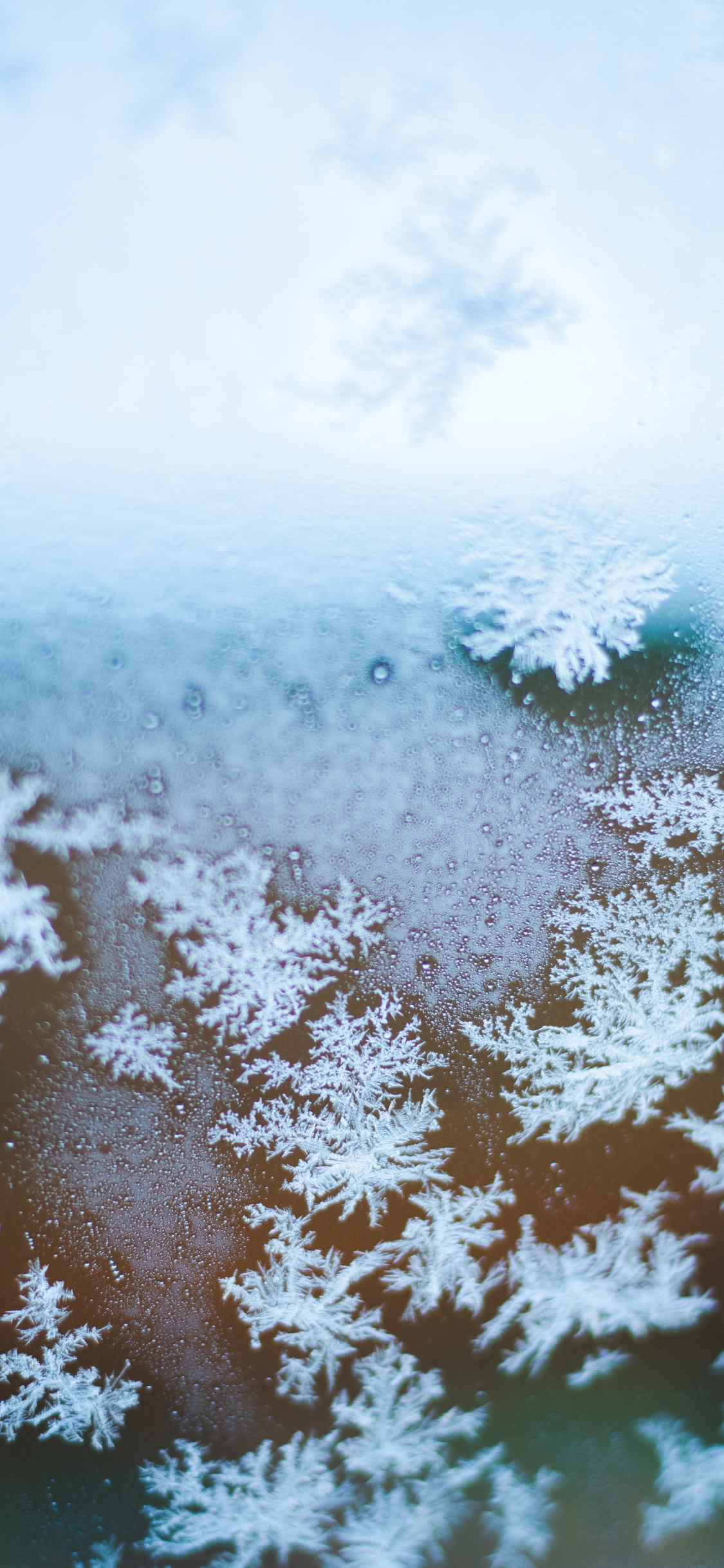 Snowflake, Freezing, Winter, Snow, Frost. Wallpaper in 1125x2436 Resolution