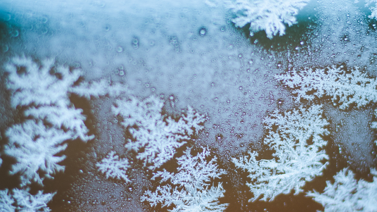 Snowflake, Freezing, Winter, Snow, Frost. Wallpaper in 1280x720 Resolution