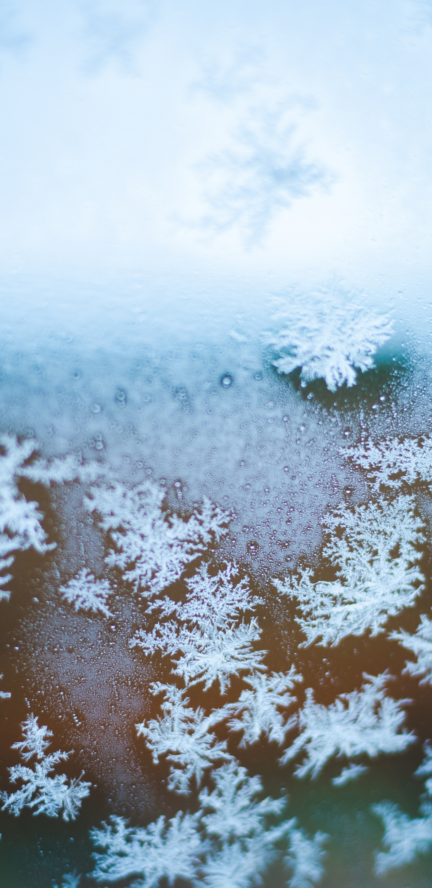 Snowflake, Freezing, Winter, Snow, Frost. Wallpaper in 1440x2960 Resolution