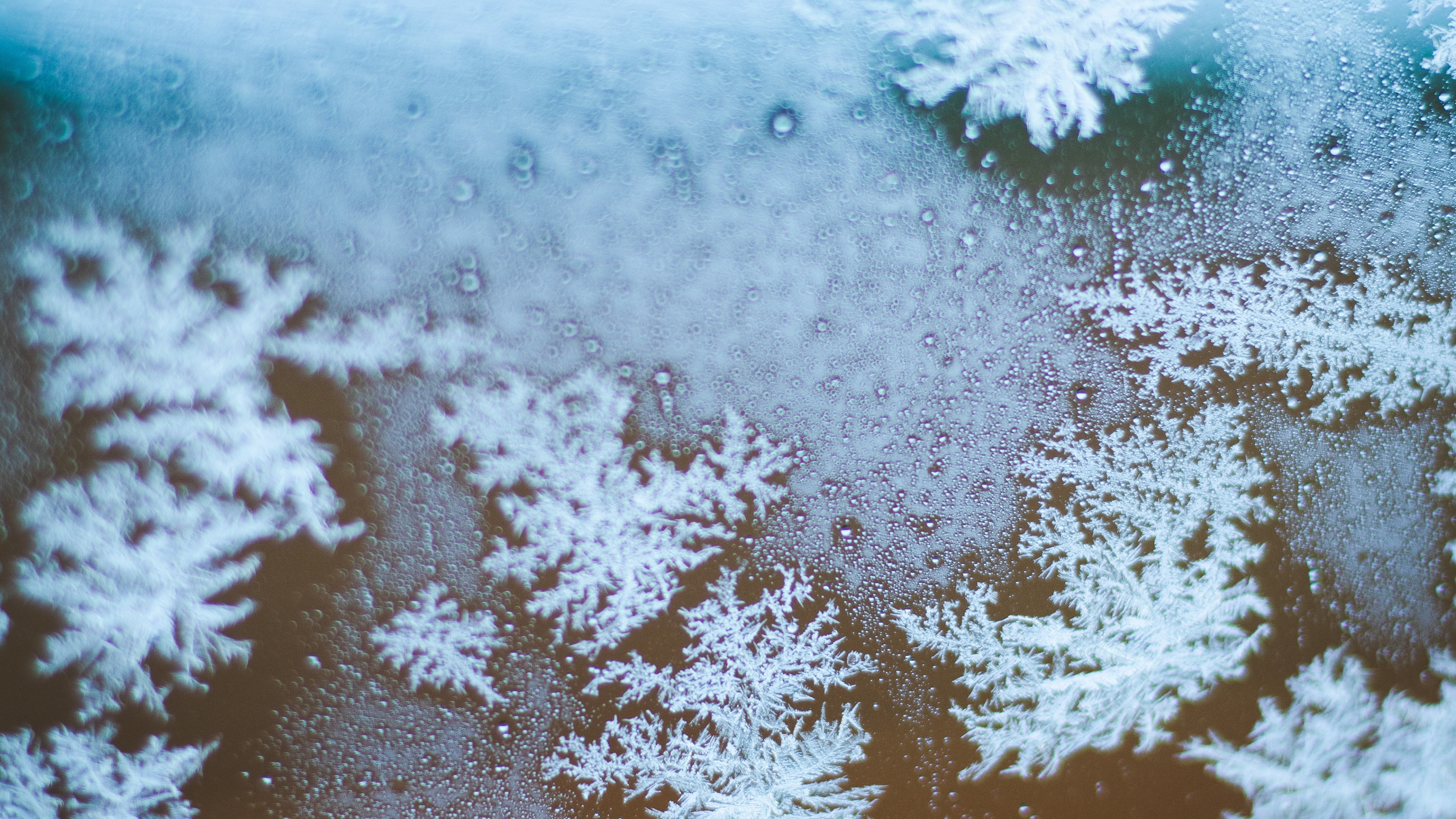 Snowflake, Freezing, Winter, Snow, Frost. Wallpaper in 3840x2160 Resolution