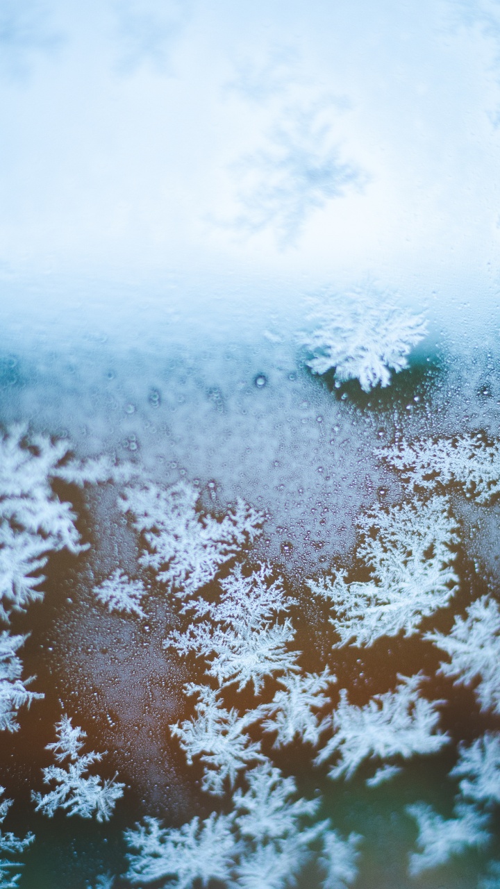 Snowflake, Freezing, Winter, Snow, Frost. Wallpaper in 720x1280 Resolution