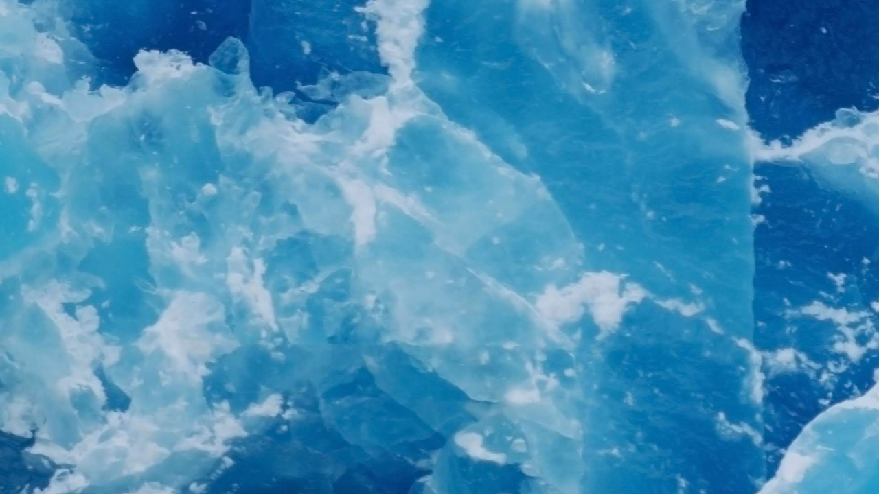 Nokia, Nokia 9, 诺基亚8 2英国, 诺基亚8, 诺基亚8 1 壁纸 1280x720 允许