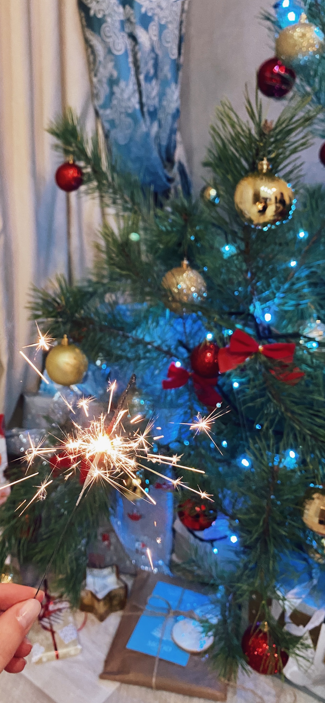 New Year, Christmas, Christmas Day, Christmas Tree, Fir. Wallpaper in 1242x2688 Resolution