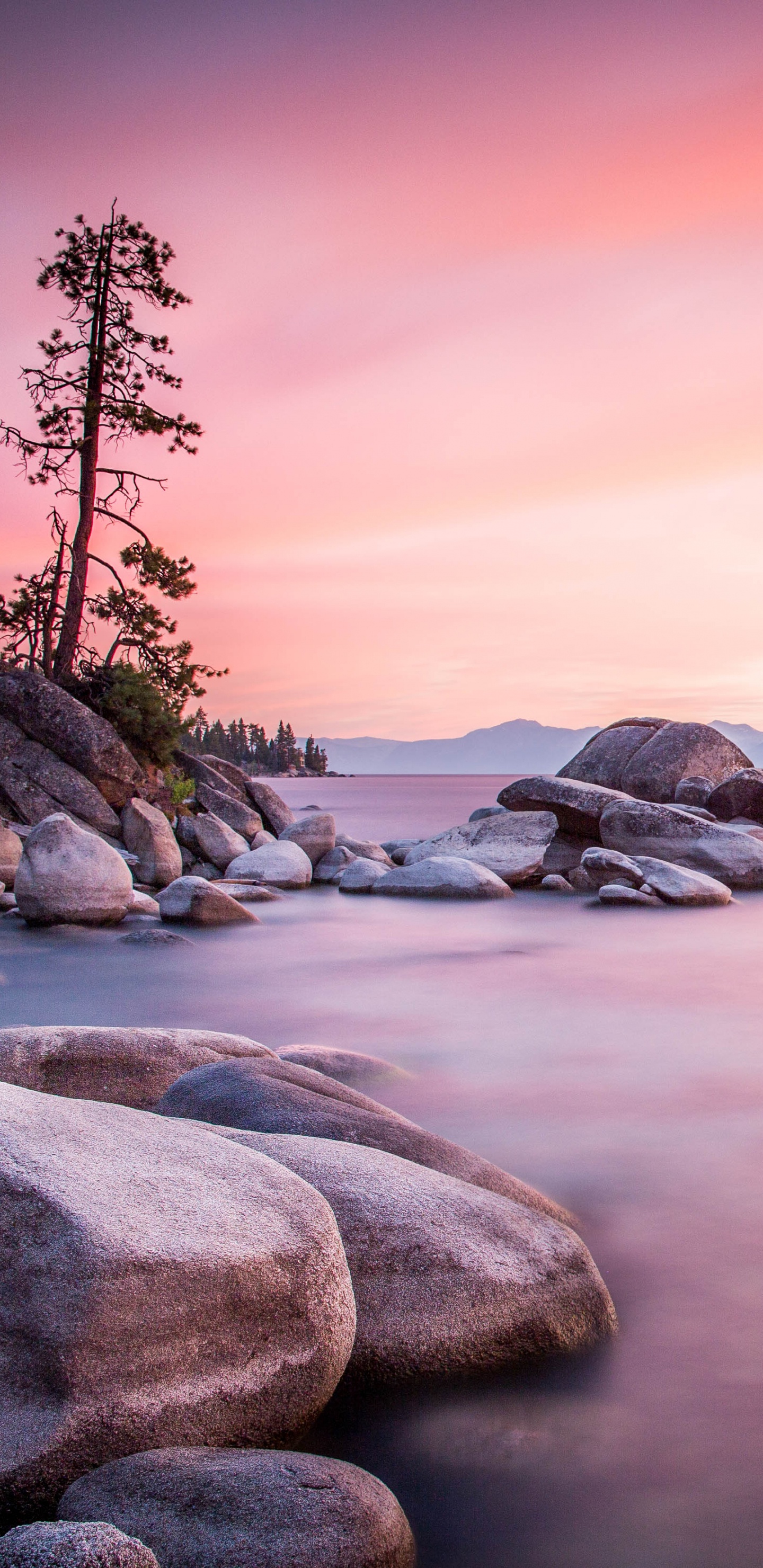 Shore, Sea, Body of Water, Nature, Natural Landscape. Wallpaper in 1440x2960 Resolution