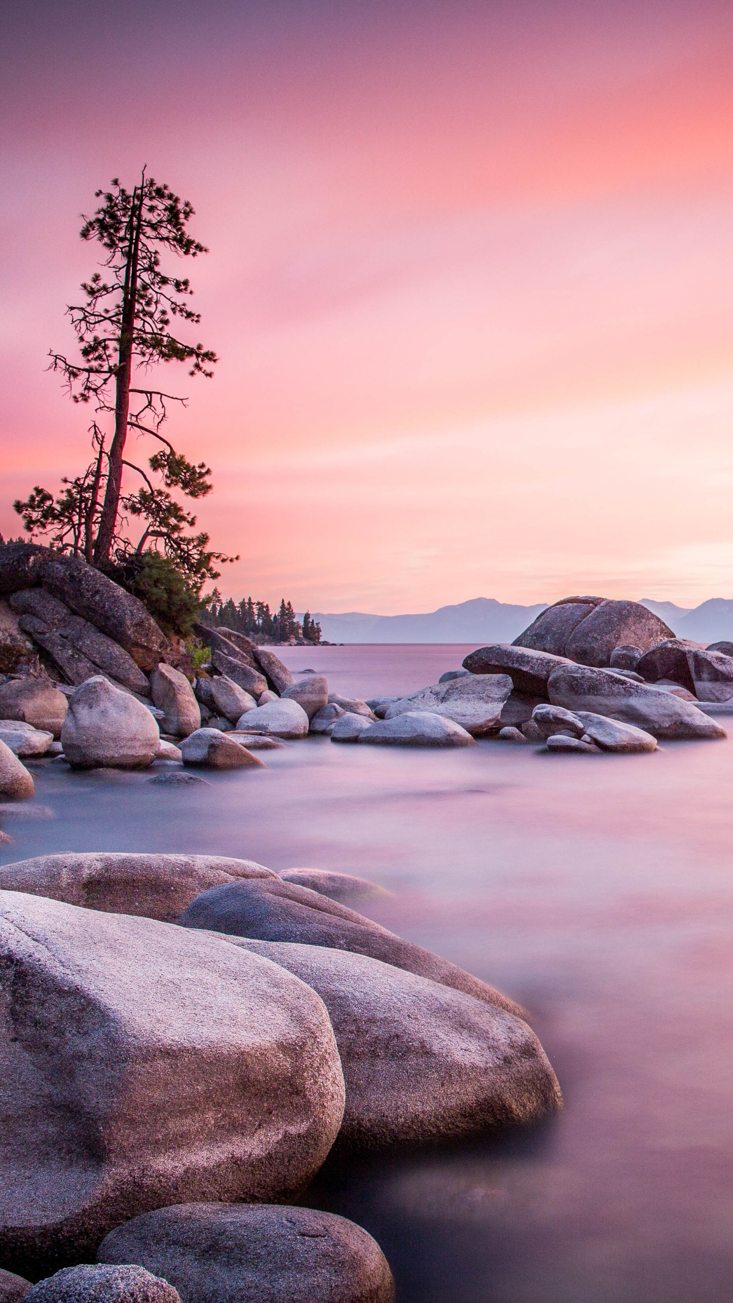 Ufer, Meer, Gewässer, Natur, Naturlandschaft. Wallpaper in 1440x2560 Resolution