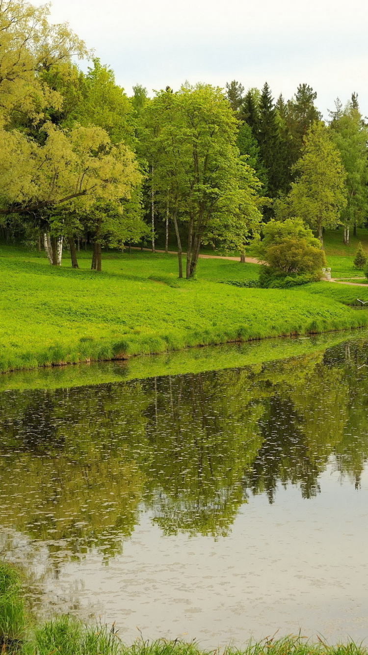 Grüne Wiese in Der Nähe Des Sees Unter Blauem Himmel Tagsüber. Wallpaper in 750x1334 Resolution