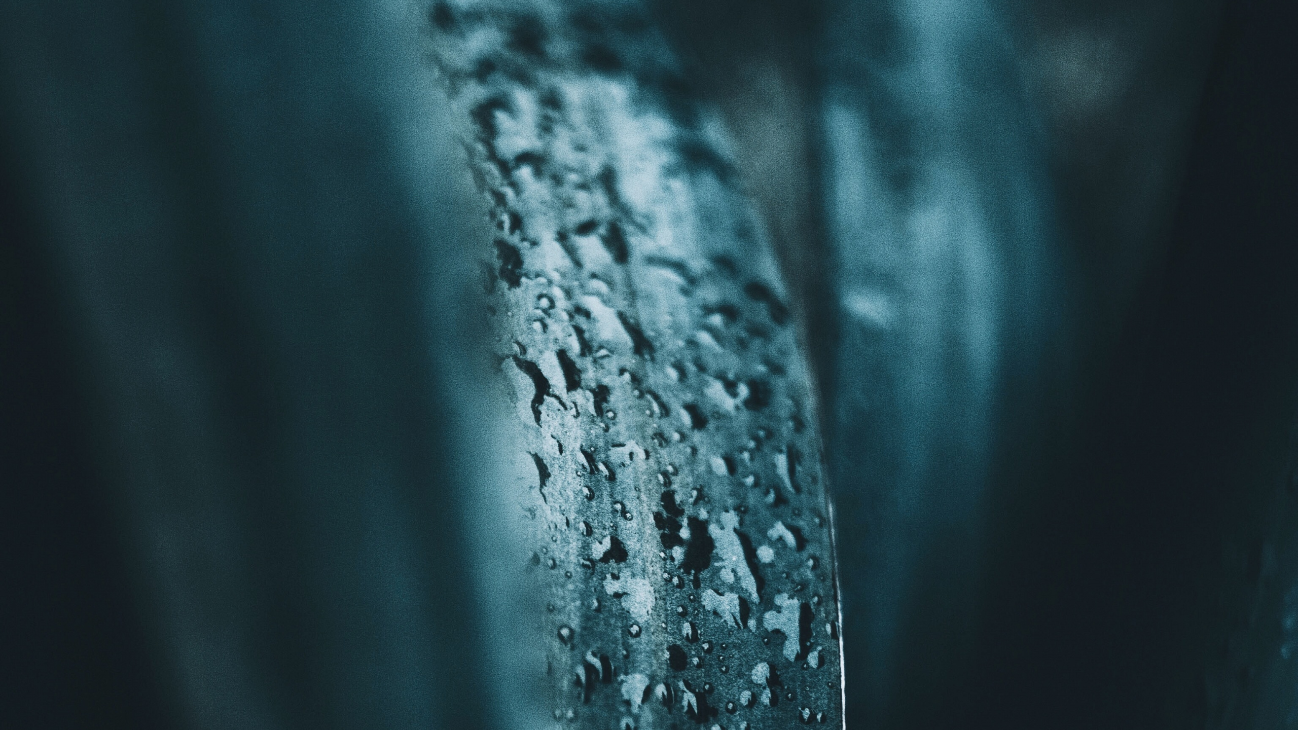 Blue, Water, Darkness, Turquoise, Tree. Wallpaper in 2560x1440 Resolution