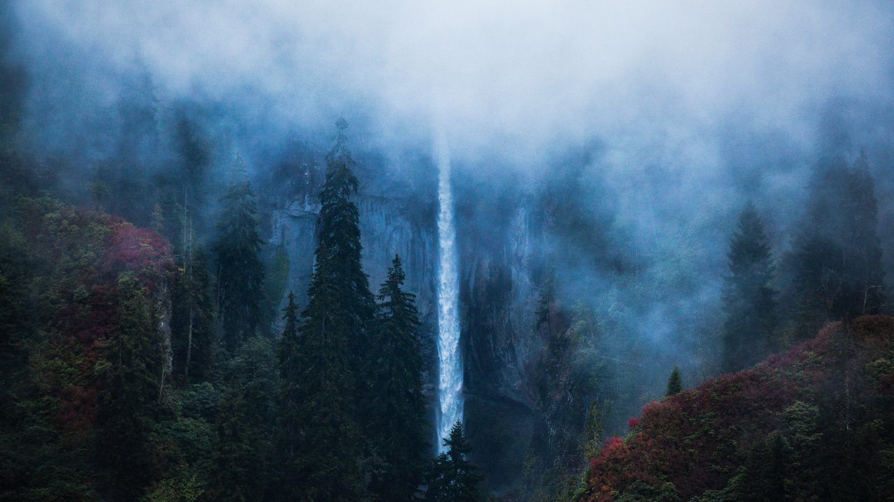 Nature, Black Sea, Karagl, Mist, Forest. Wallpaper in 1280x720 Resolution