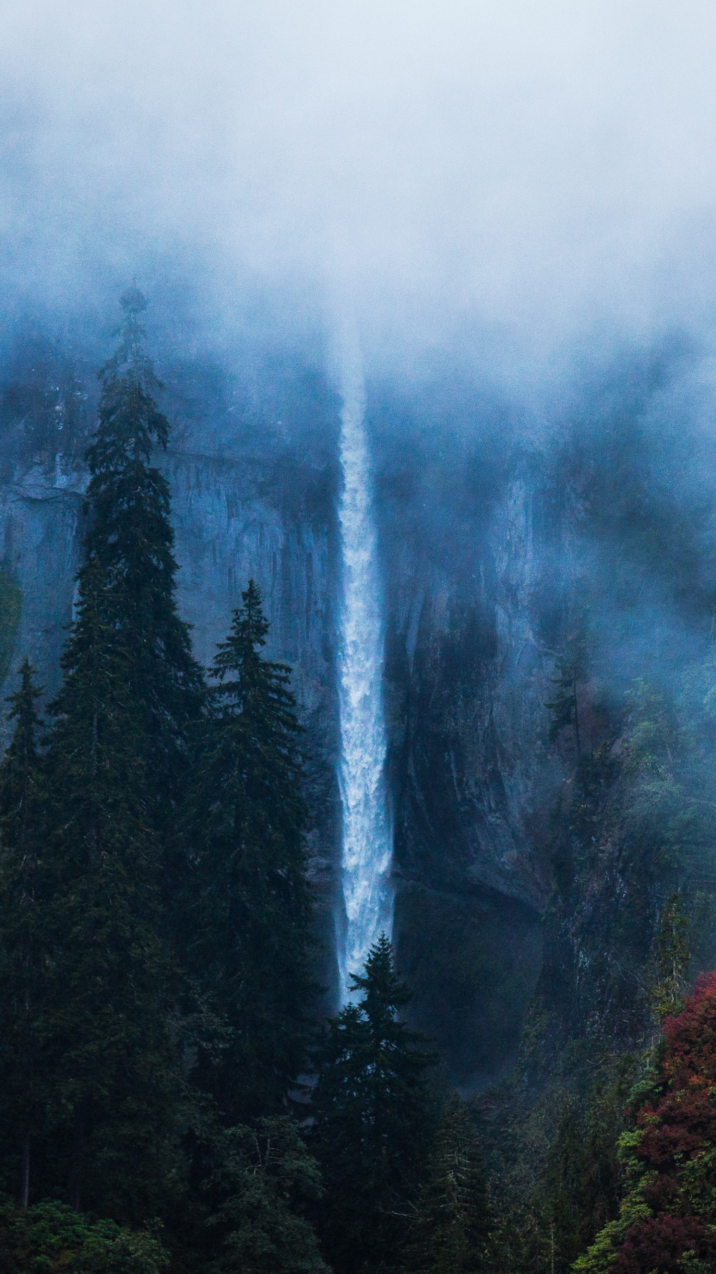 Nature, Black Sea, Karagl, Mist, Forest. Wallpaper in 1440x2560 Resolution