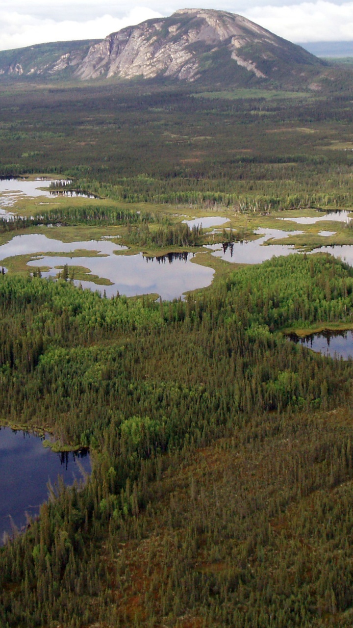 Campo de Hierba Verde Cerca Del Lago y la Montaña Durante el Día. Wallpaper in 720x1280 Resolution