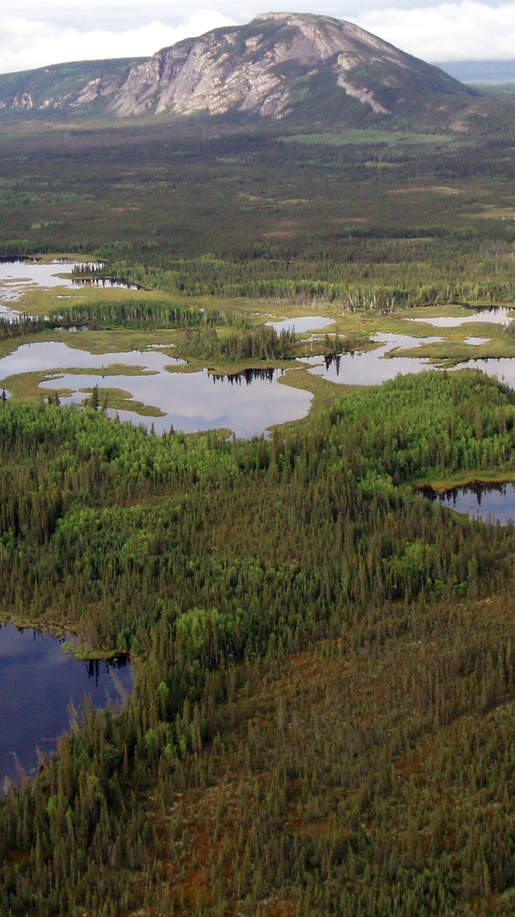 Grüne Wiese in Der Nähe Von See Und Berg Tagsüber. Wallpaper in 750x1334 Resolution