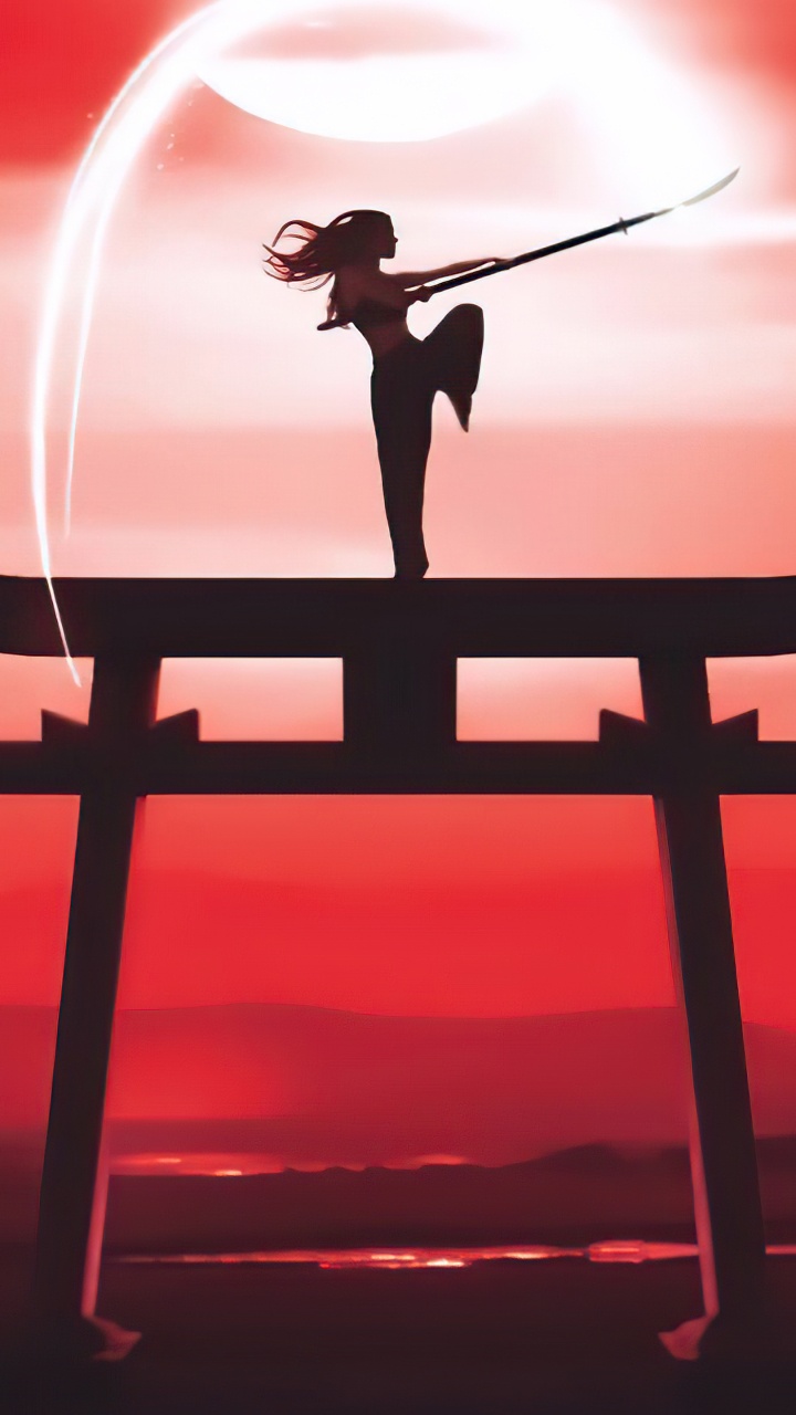 Kampfkünsten, Kunst, Mixed Martial Arts, Karate, Licht. Wallpaper in 720x1280 Resolution