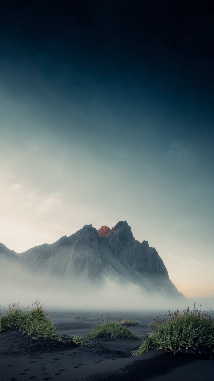 Zindagi Jab Leti Hai, Hungama, Cloud, Atmosphere, Plant. Wallpaper in 720x1280 Resolution