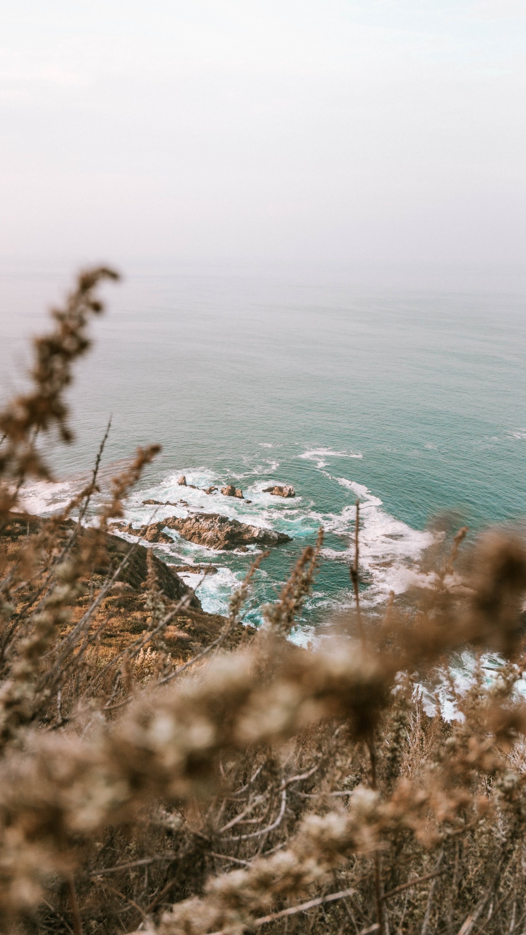 Ocean, Coast, Body of Water, Tree, Beach. Wallpaper in 1080x1920 Resolution