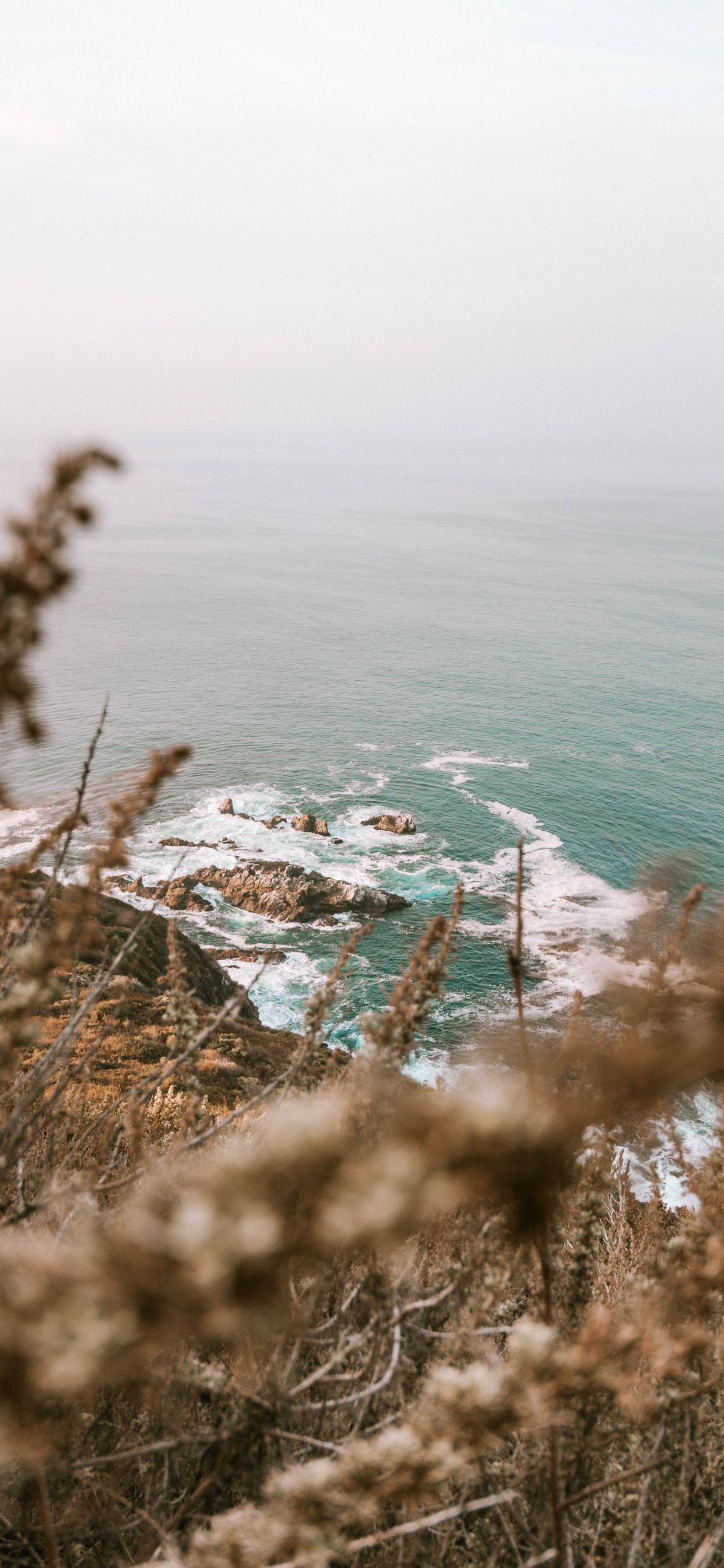 Ocean, Coast, Body of Water, Tree, Beach. Wallpaper in 1242x2688 Resolution