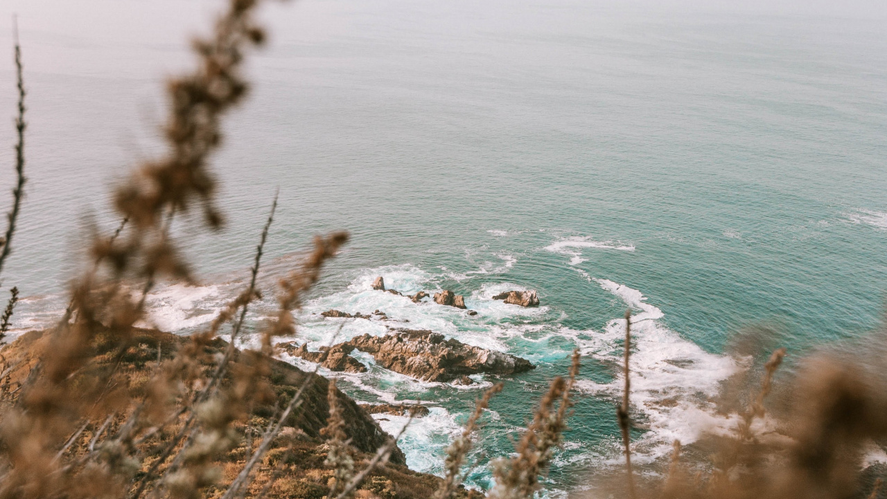 Ocean, Coast, Body of Water, Tree, Beach. Wallpaper in 1280x720 Resolution