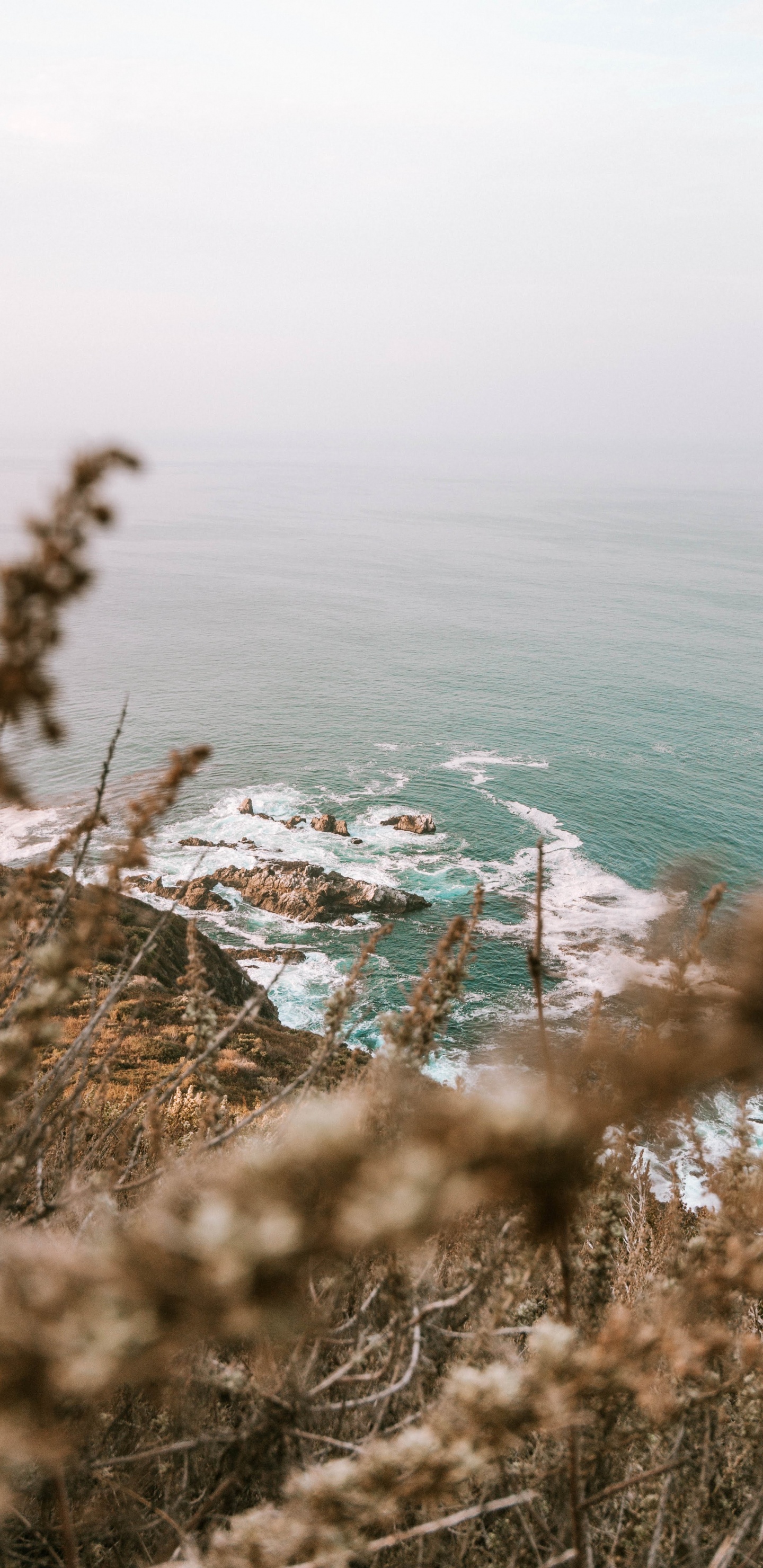Ocean, Coast, Body of Water, Tree, Beach. Wallpaper in 1440x2960 Resolution