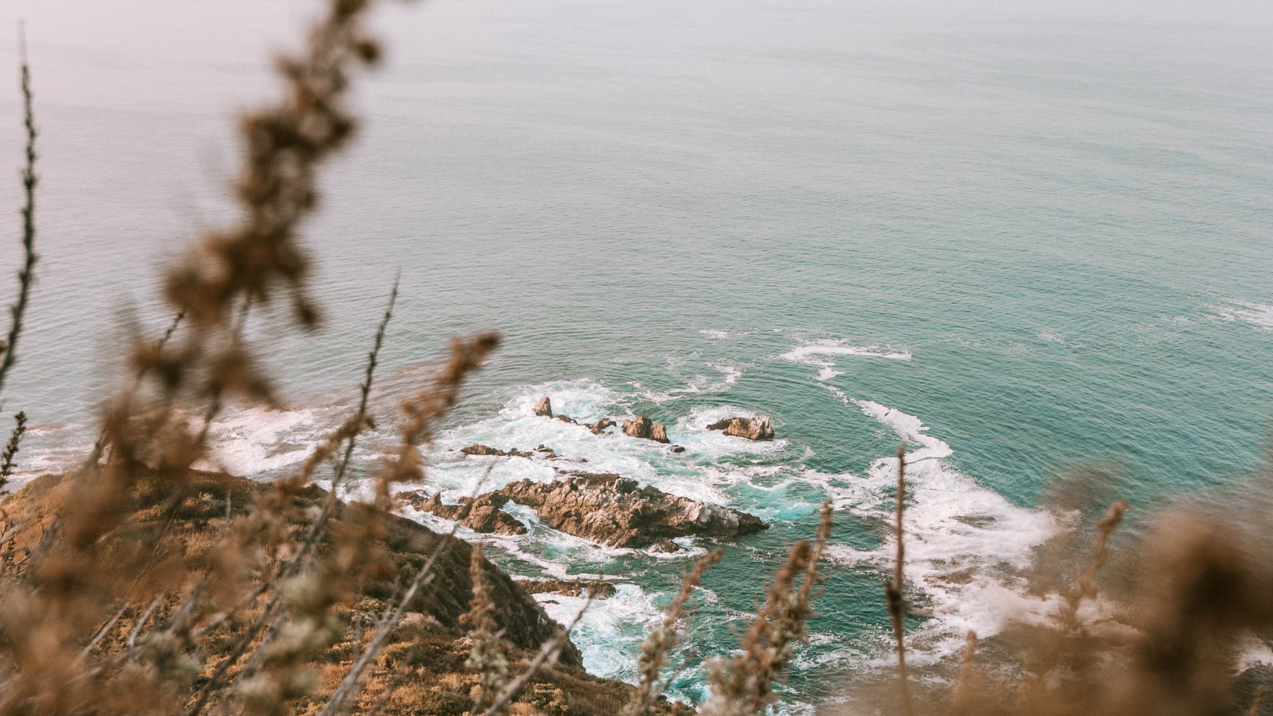 Ocean, Coast, Body of Water, Tree, Beach. Wallpaper in 2560x1440 Resolution