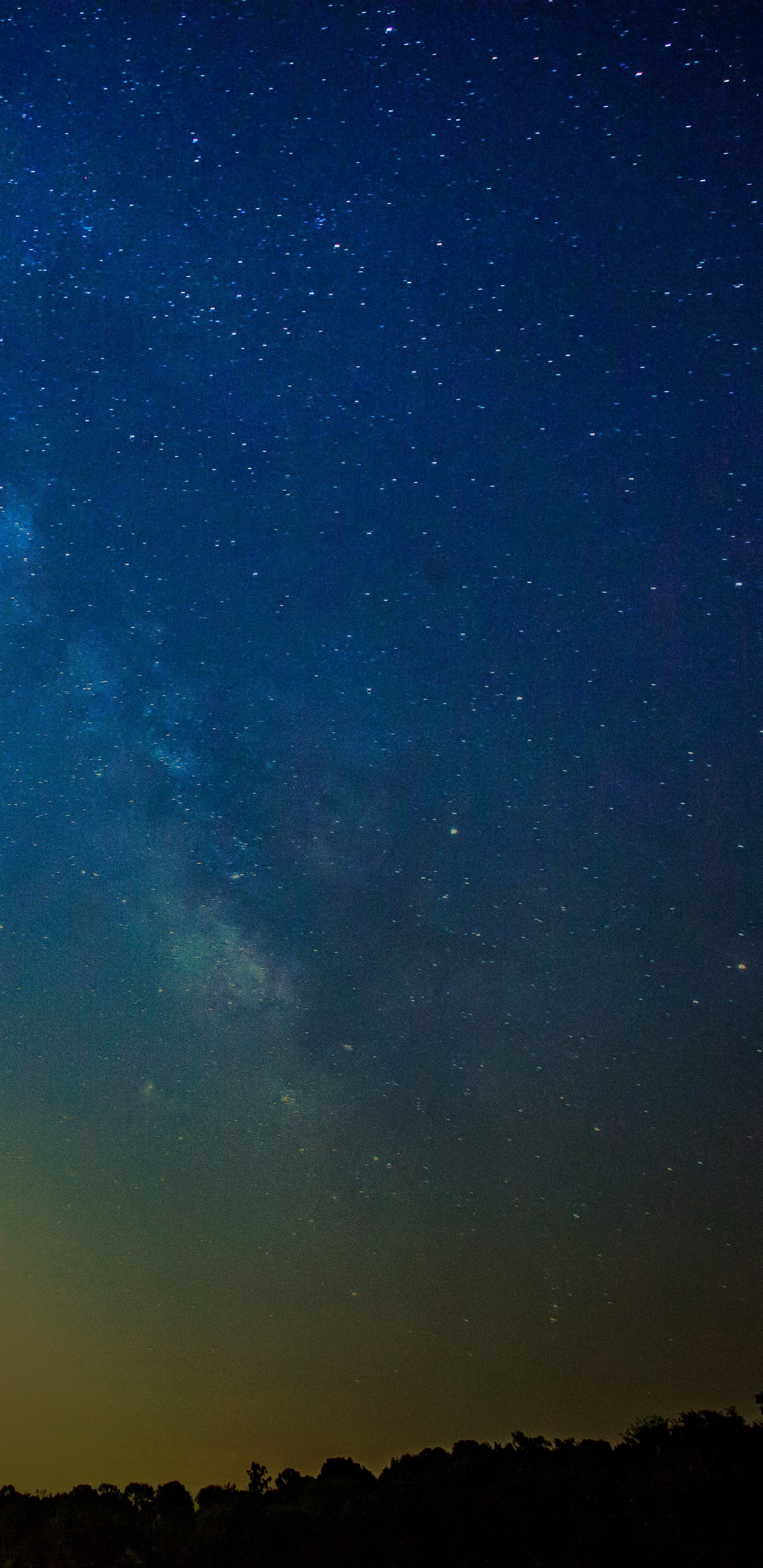 Silhouette of Trees Under Blue Sky During Night Time. Wallpaper in 1440x2960 Resolution