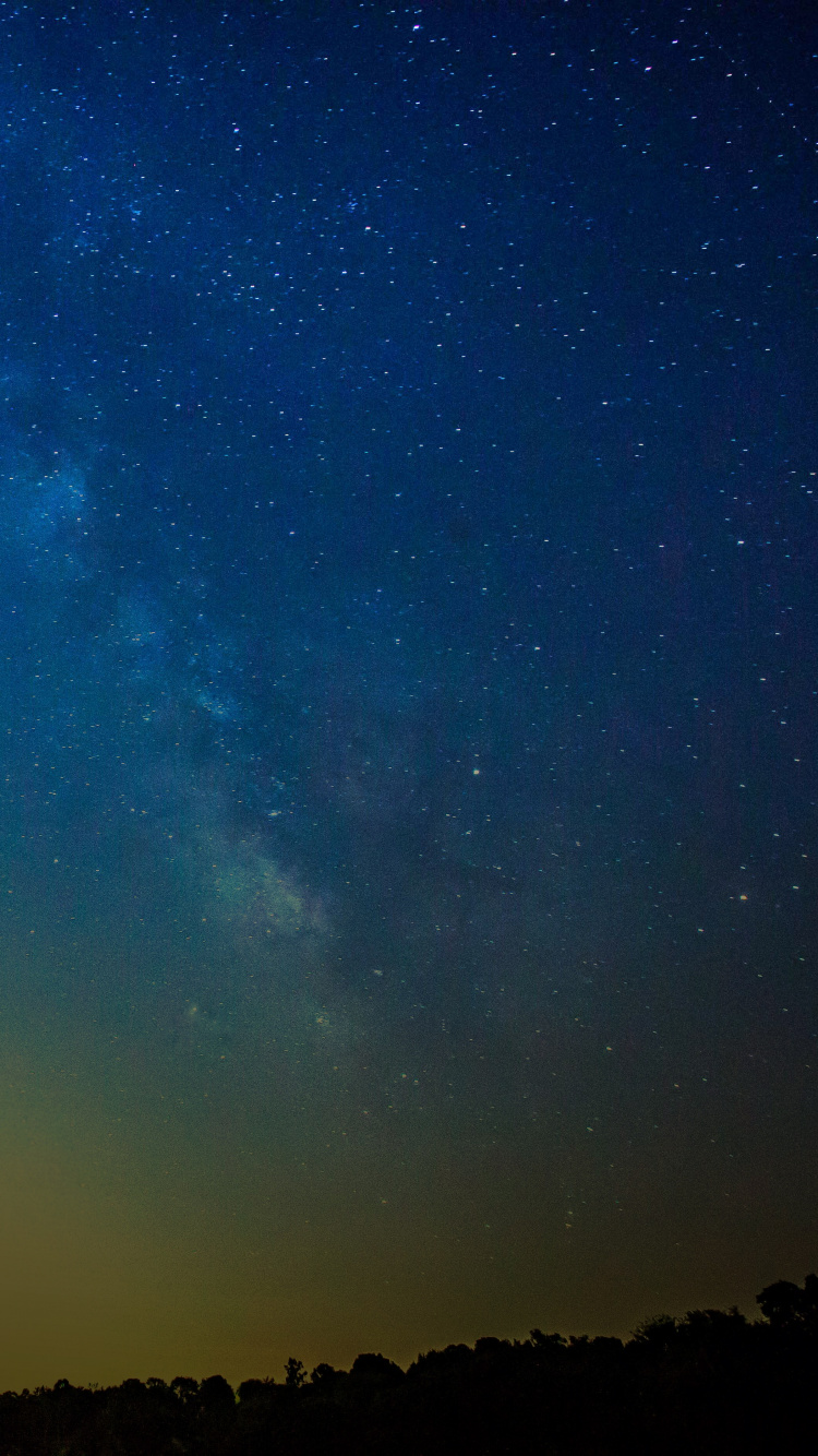 Silhouette of Trees Under Blue Sky During Night Time. Wallpaper in 750x1334 Resolution