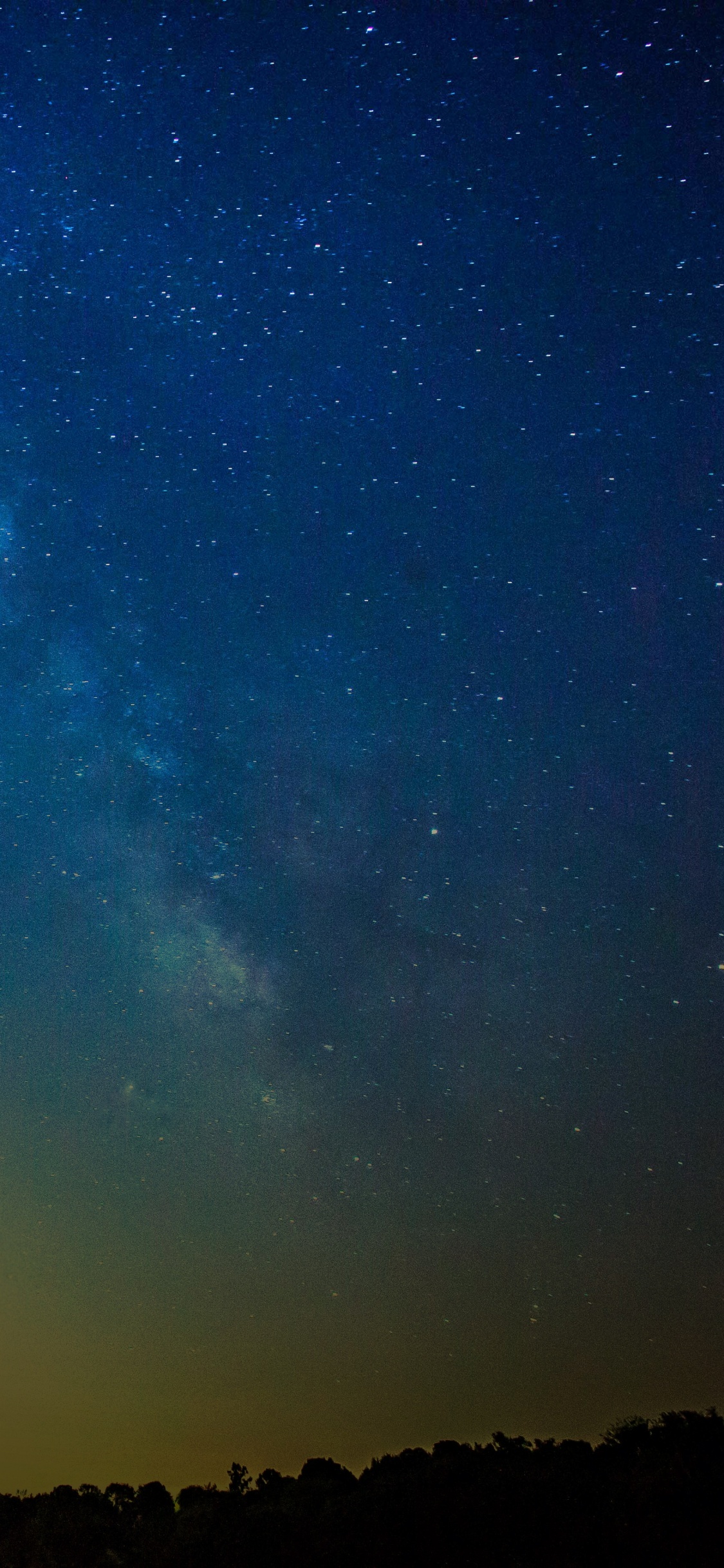 Silueta de Árboles Bajo un Cielo Azul Durante la Noche. Wallpaper in 1125x2436 Resolution