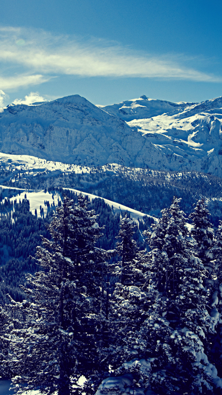 Green Pine Trees on Snow Covered Mountain During Daytime. Wallpaper in 750x1334 Resolution