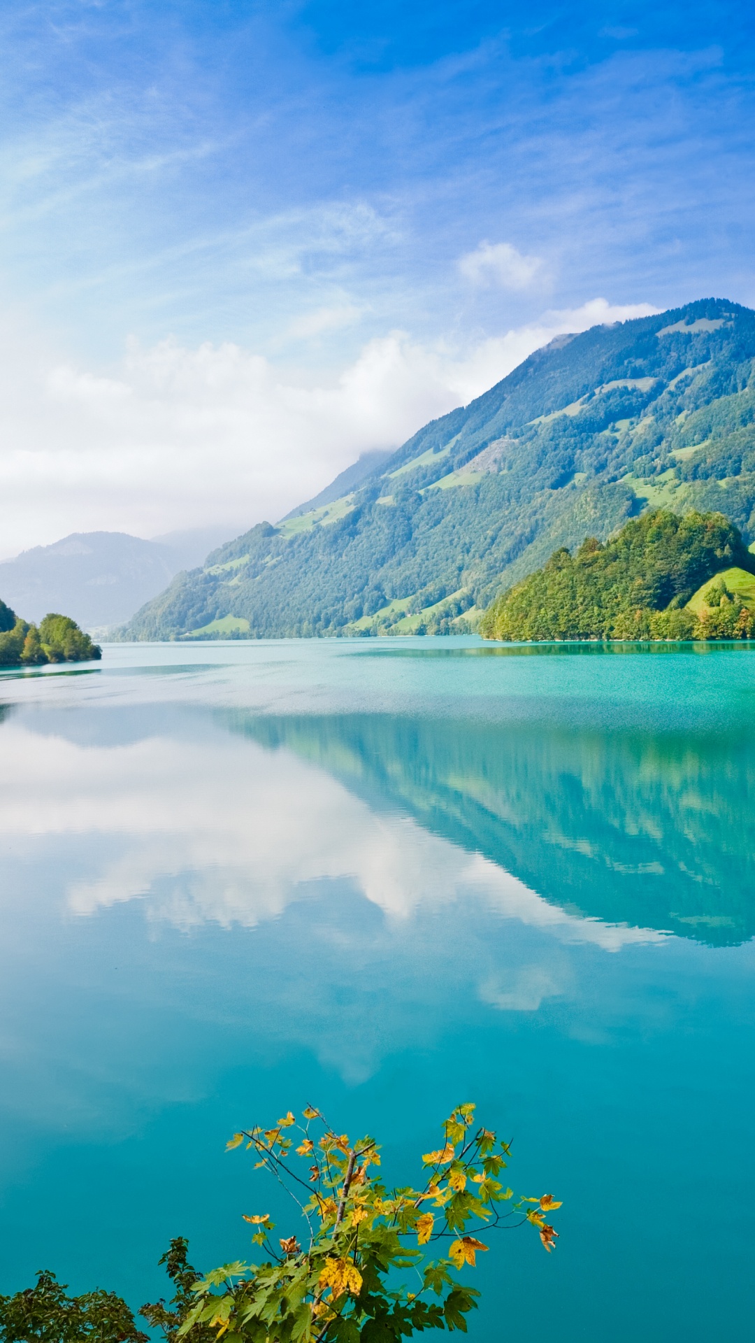 Green Trees Near Lake Under Blue Sky During Daytime. Wallpaper in 1080x1920 Resolution