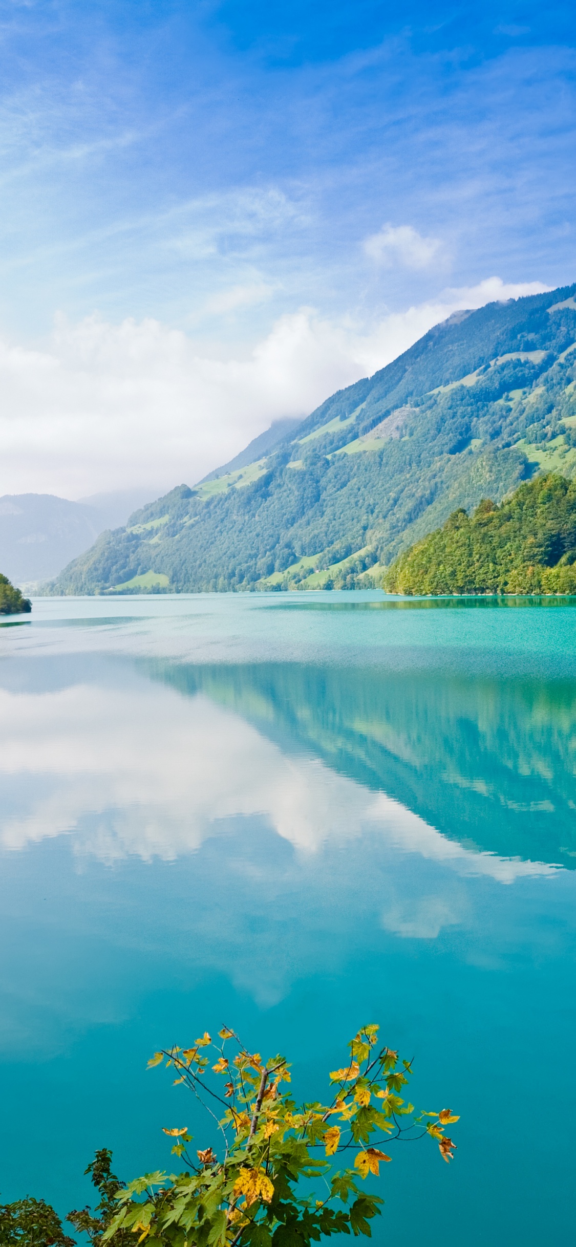Green Trees Near Lake Under Blue Sky During Daytime. Wallpaper in 1125x2436 Resolution