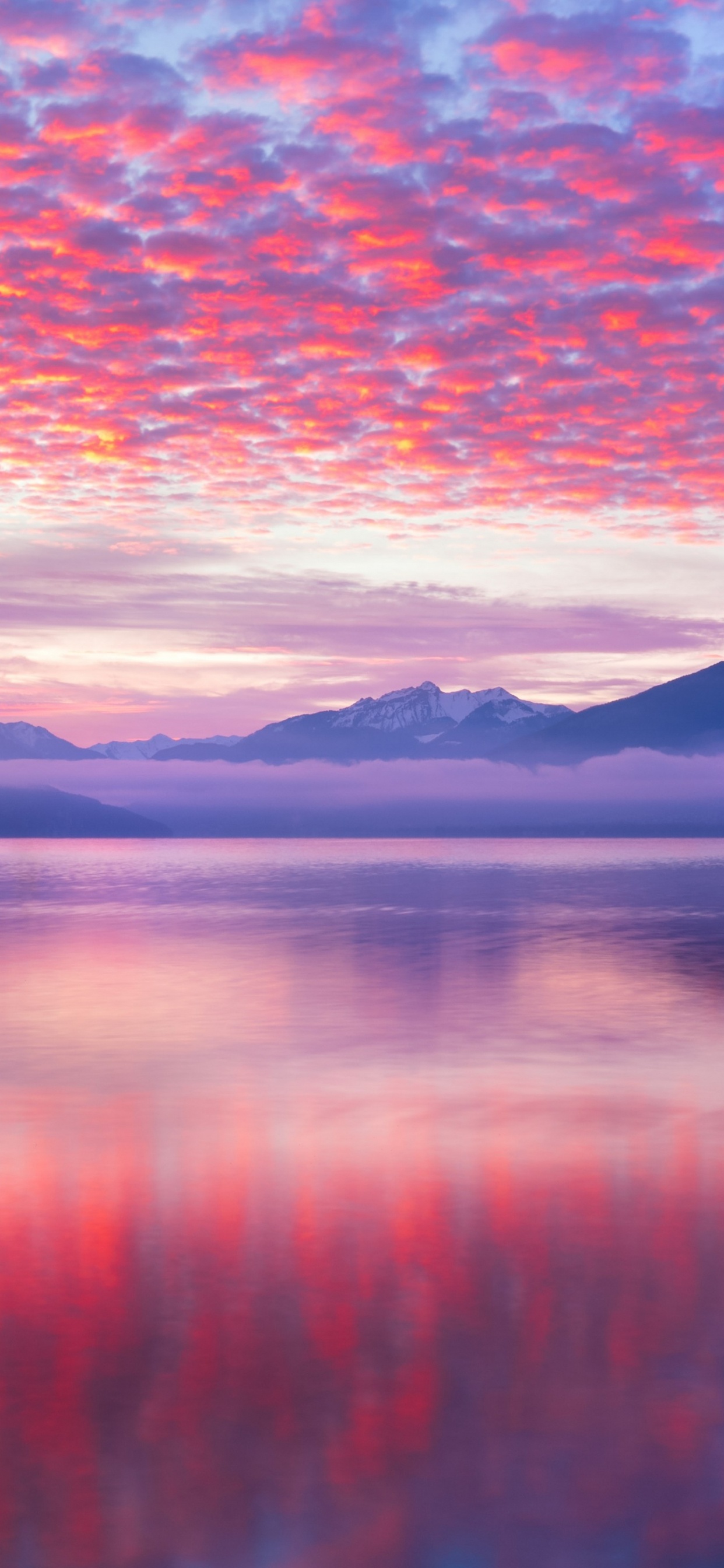 Macbook, Wasser, Cloud, Wasserressourcen, Ökoregion. Wallpaper in 1242x2688 Resolution