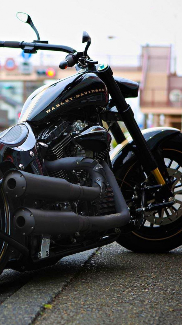 Harley Davidson, Motocicleta, Softail, Neumáticos Para Automóviles, Neumatico. Wallpaper in 750x1334 Resolution