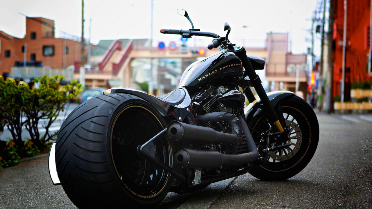 Harley Davidson, Chopper, Softail, Automobile Pneu, Pneu. Wallpaper in 1280x720 Resolution