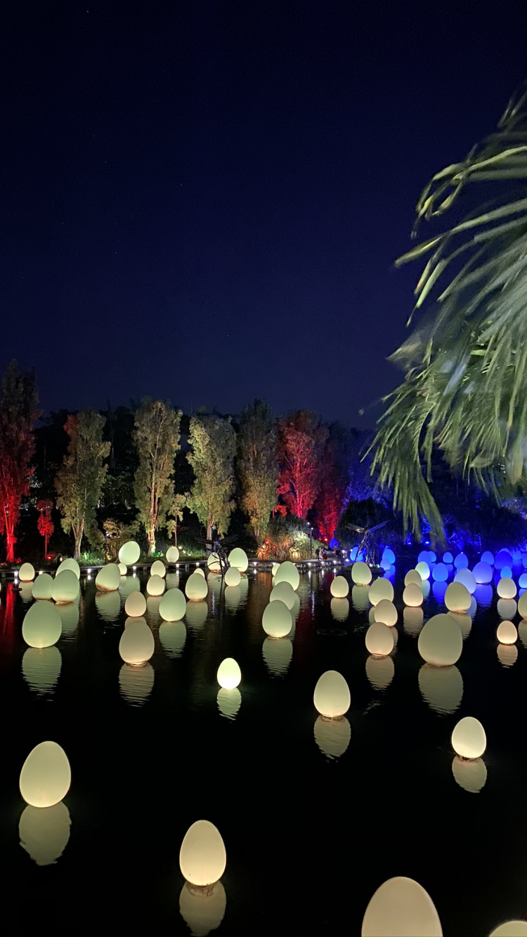 Singapur, Reflexión, la Iluminación Del Paisaje, Ciencia, Medianoche. Wallpaper in 750x1334 Resolution