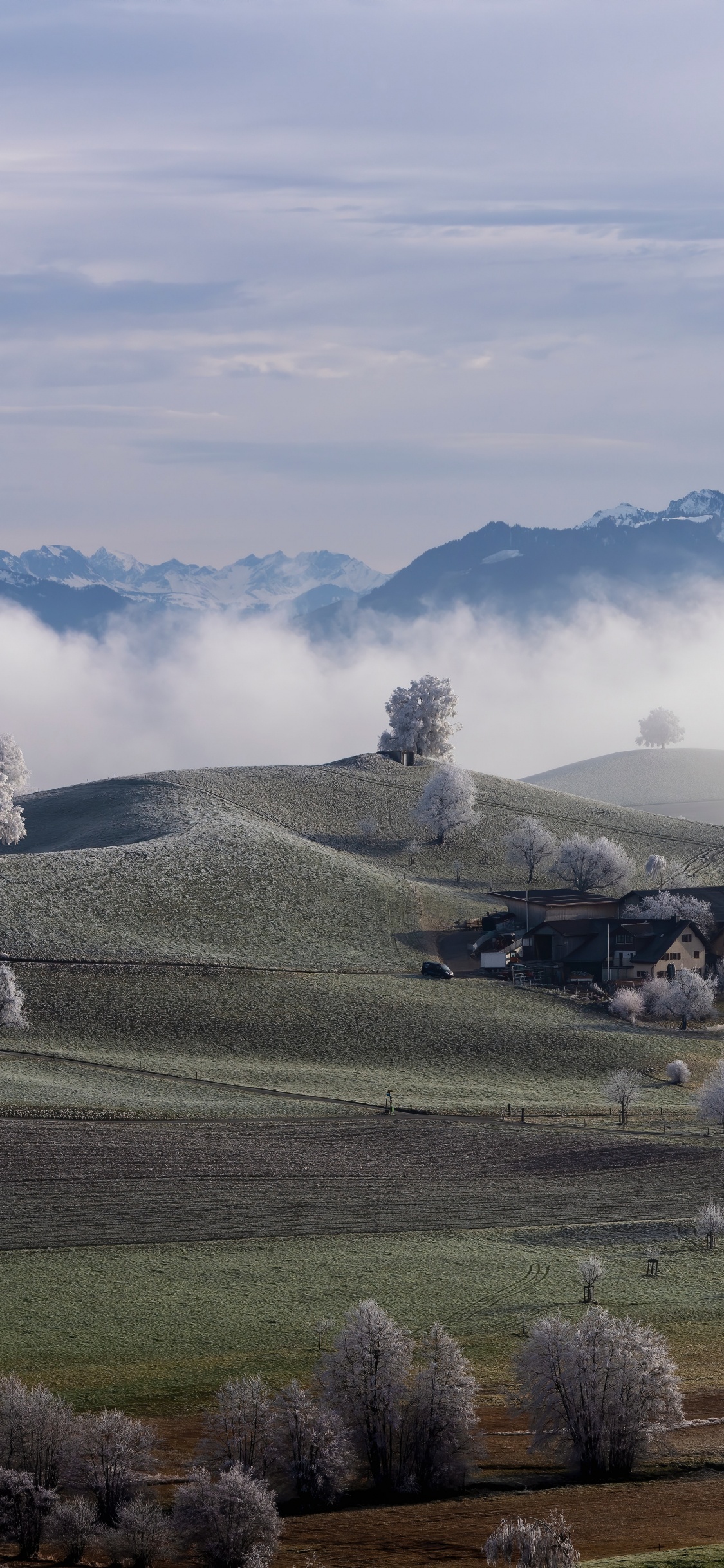 Highland, Cloud, Plant, Mountain, Natural Landscape. Wallpaper in 1125x2436 Resolution