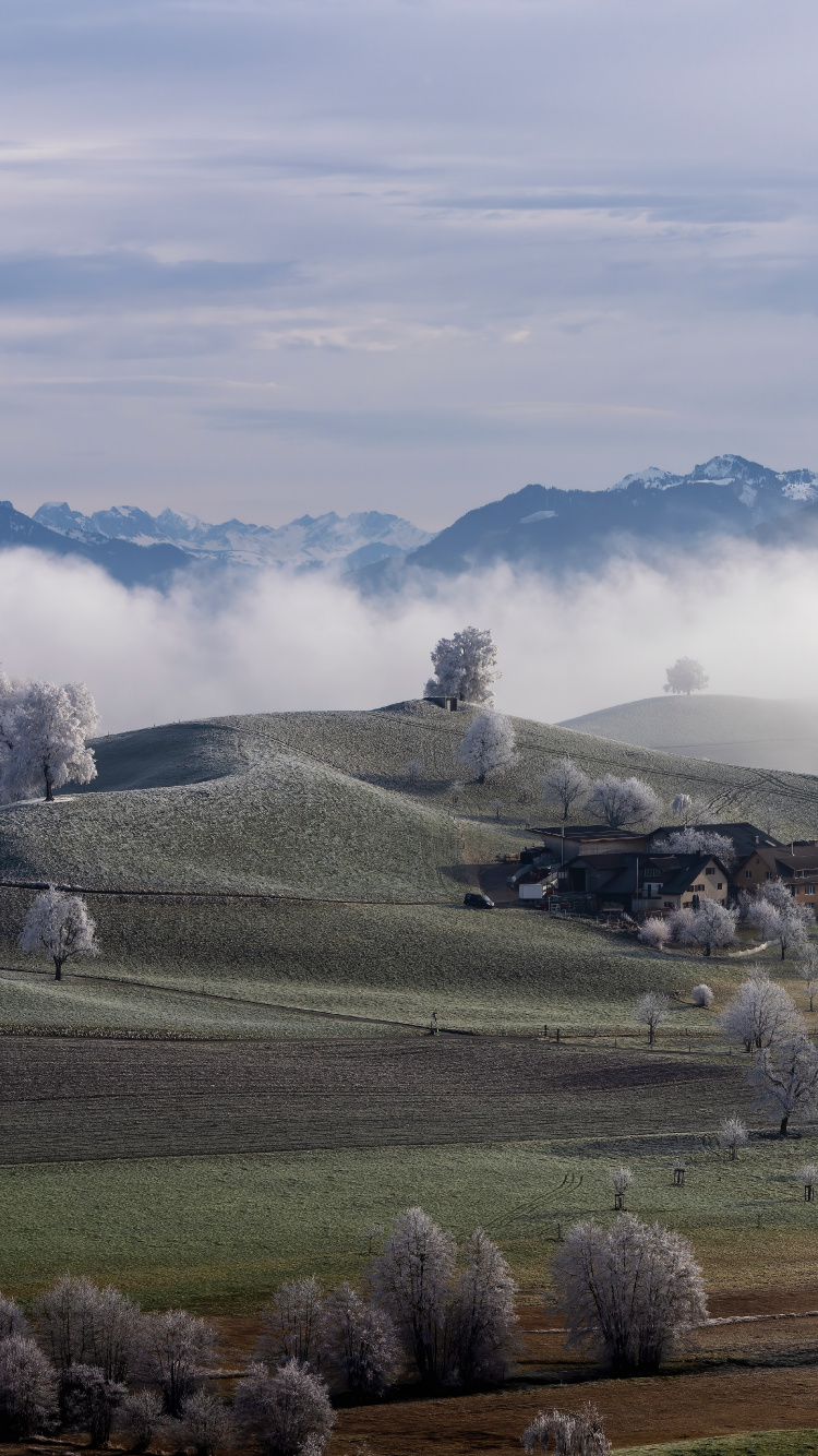 Highland, Cloud, Plant, Mountain, Natural Landscape. Wallpaper in 750x1334 Resolution