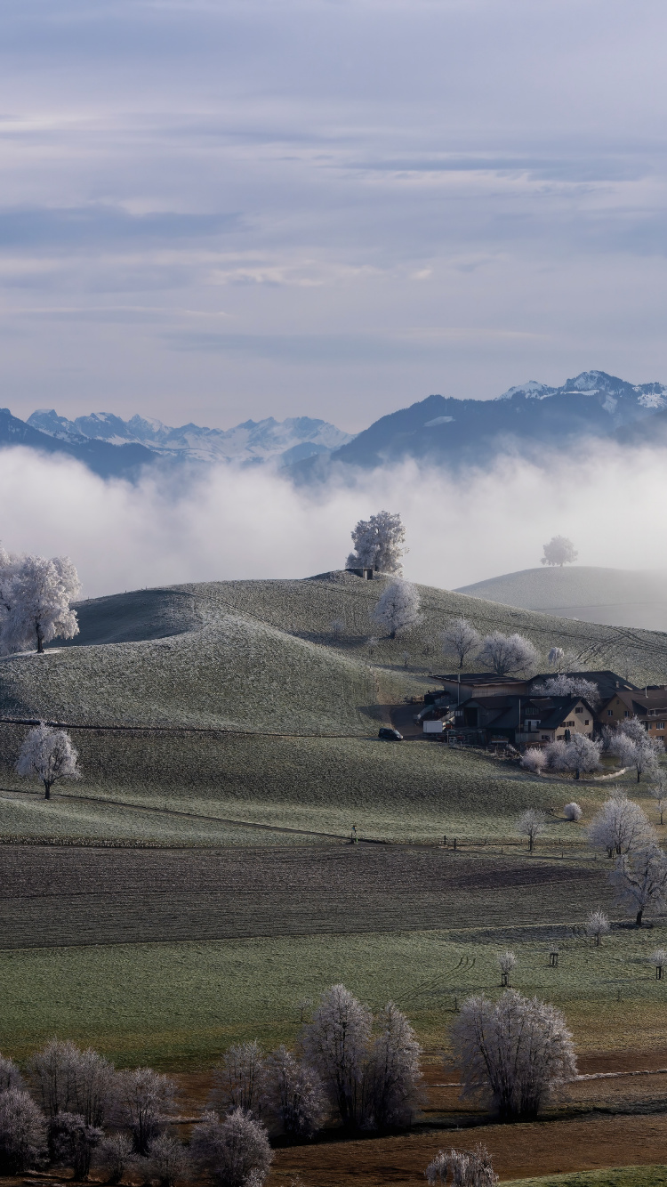 Highland, Paysage Naturel, Brouillard, Prairie. Wallpaper in 750x1334 Resolution