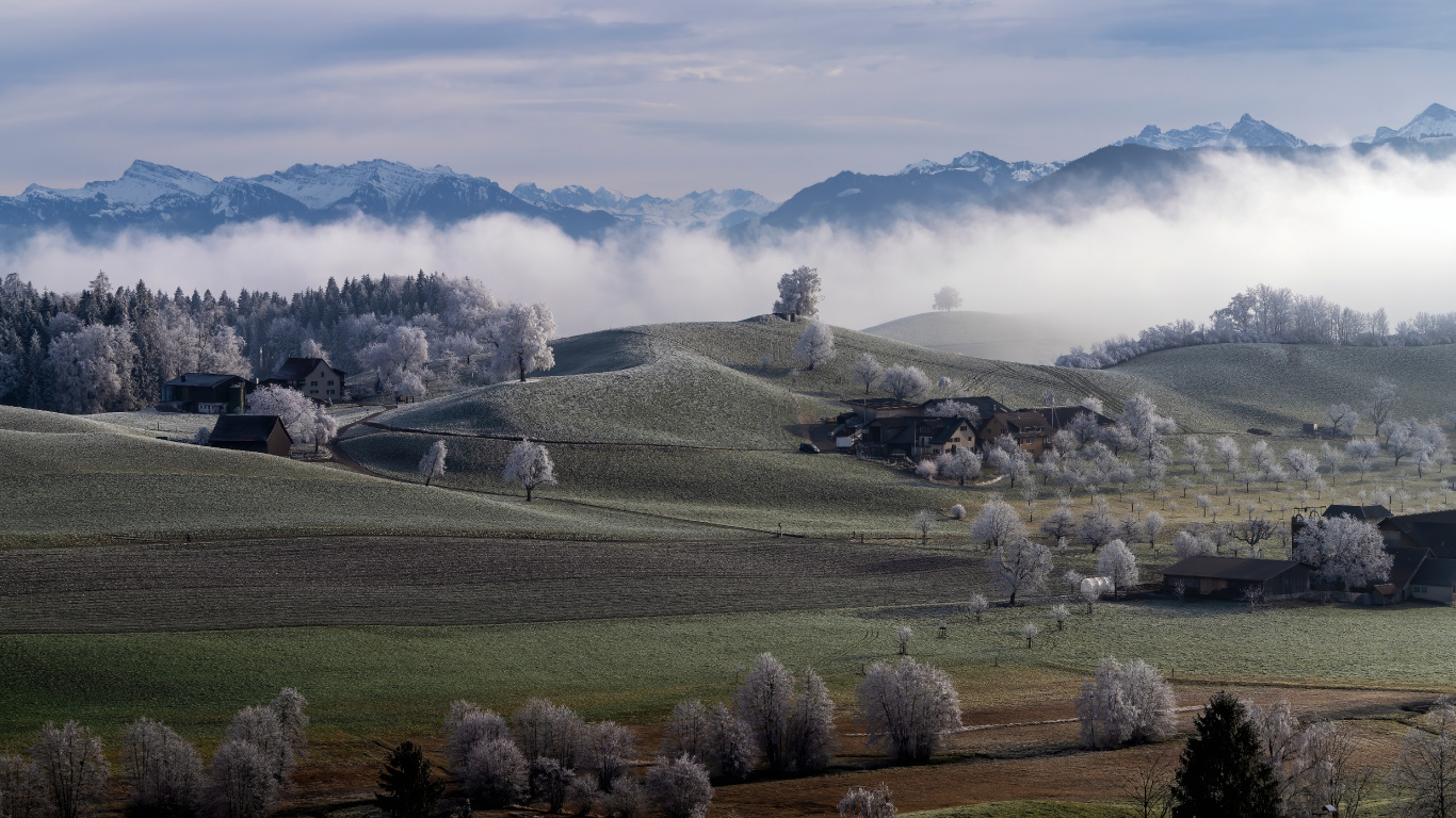 Hochland, Cloud, Naturlandschaft, Baum, Nebel. Wallpaper in 1366x768 Resolution
