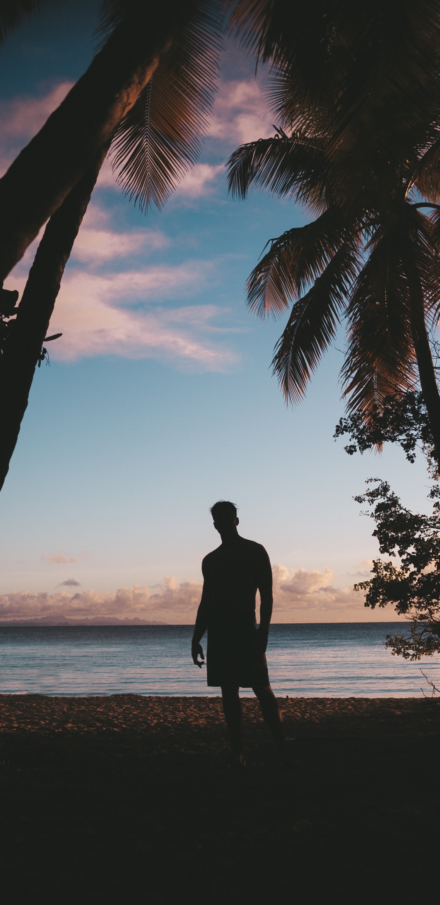 Mer, Eau, Plage, Vacances, Tropique. Wallpaper in 1440x2960 Resolution