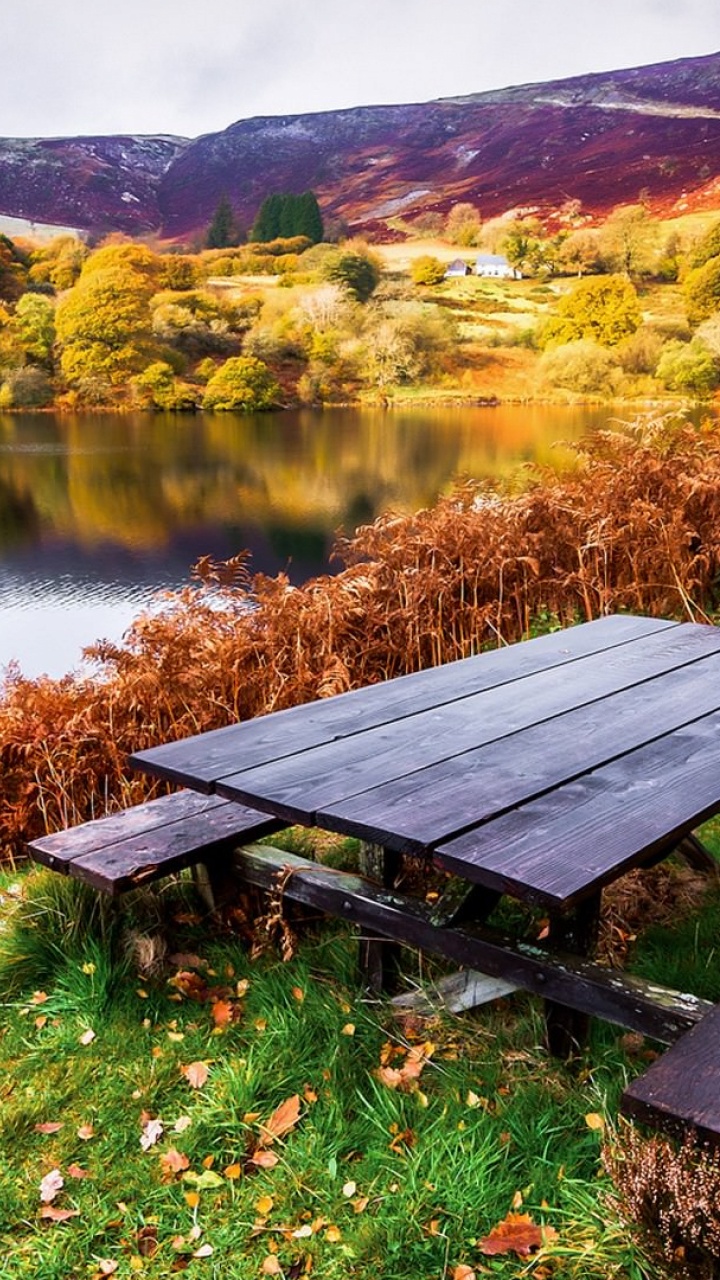 Table de Pique-nique en Bois Marron Sur Terrain D'herbe Verte Près du Lac Pendant la Journée. Wallpaper in 720x1280 Resolution