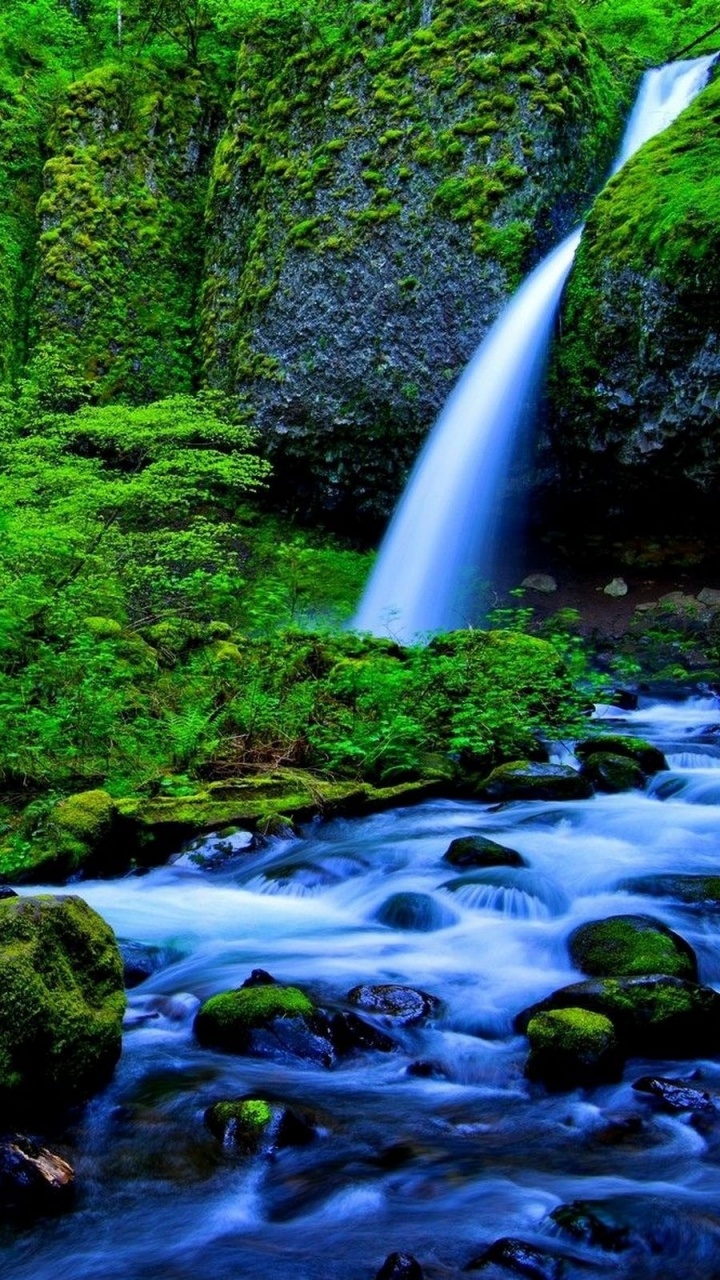 Water Falls in The Middle of The Forest. Wallpaper in 720x1280 Resolution