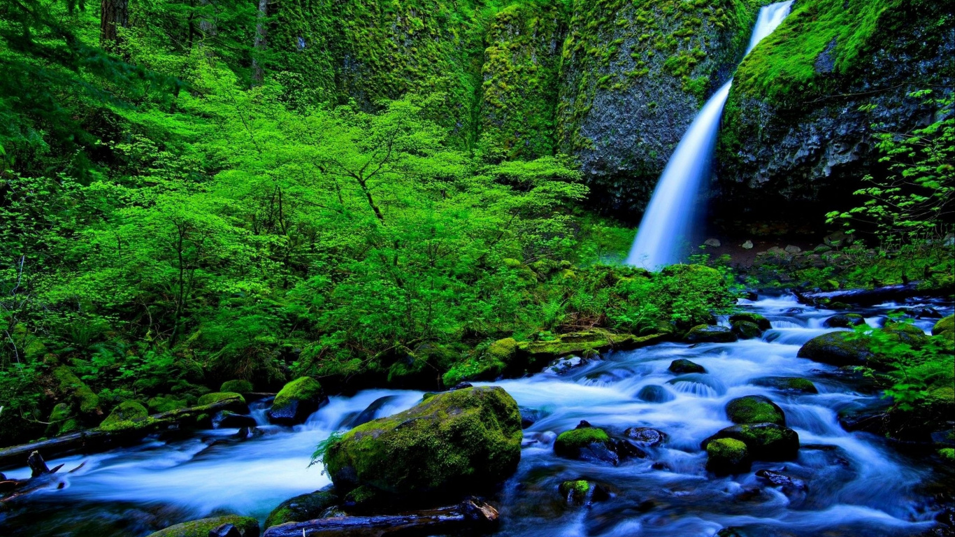 L'eau Tombe au Milieu de la Forêt. Wallpaper in 1366x768 Resolution