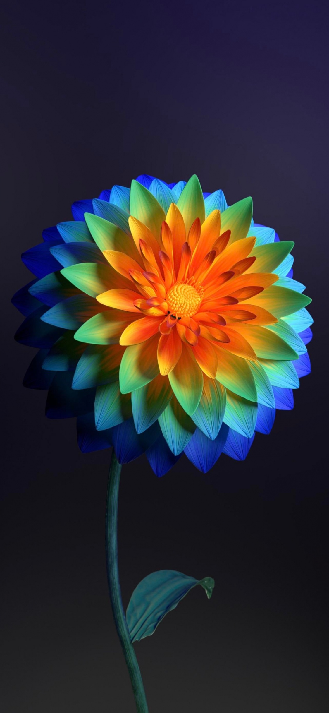 Flora, Blütenblatt, Kreative Kunst, Blühende Pflanze, Electric Blue. Wallpaper in 1125x2436 Resolution